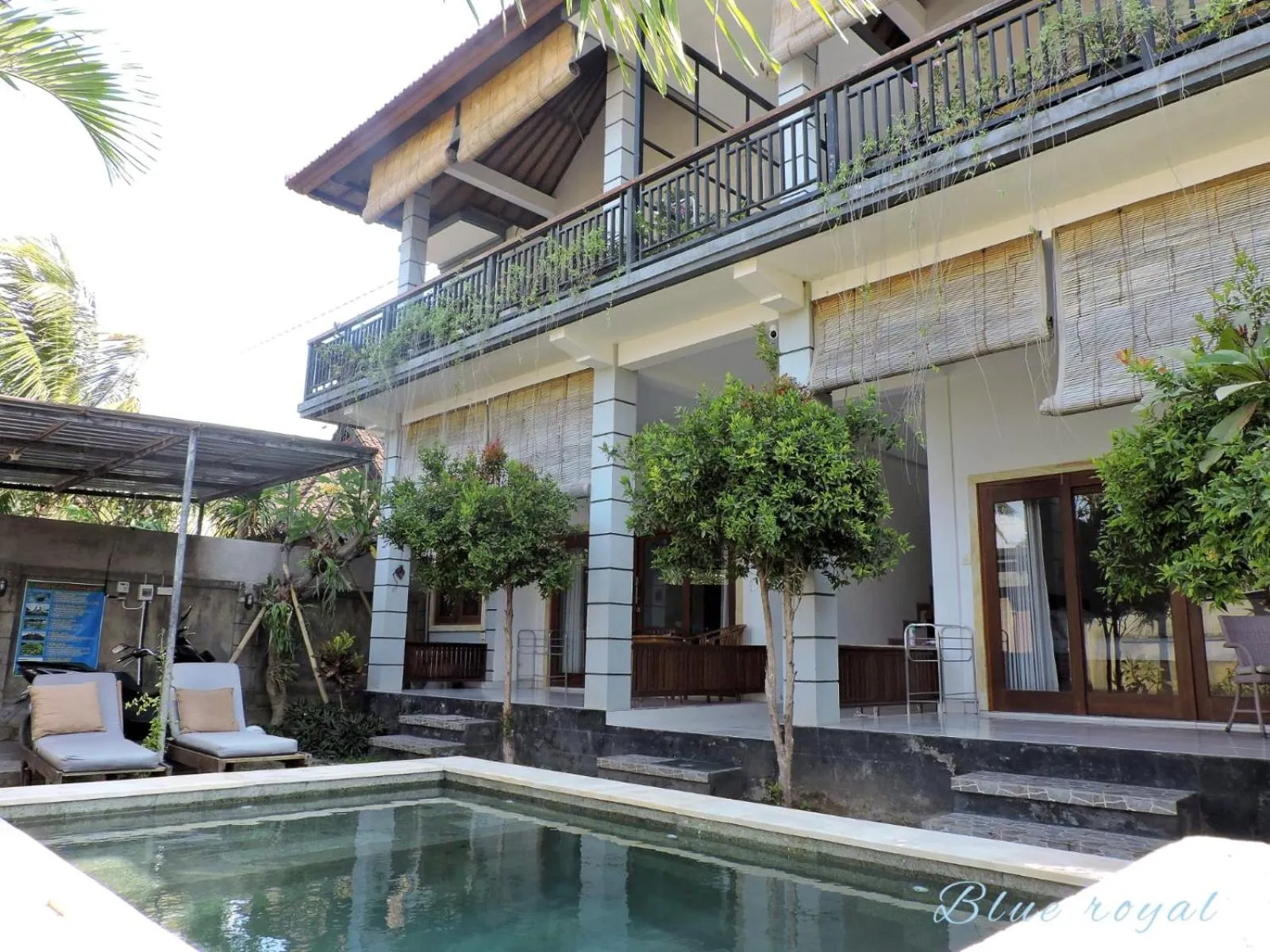 Swimming pool in Blue Royal Amed