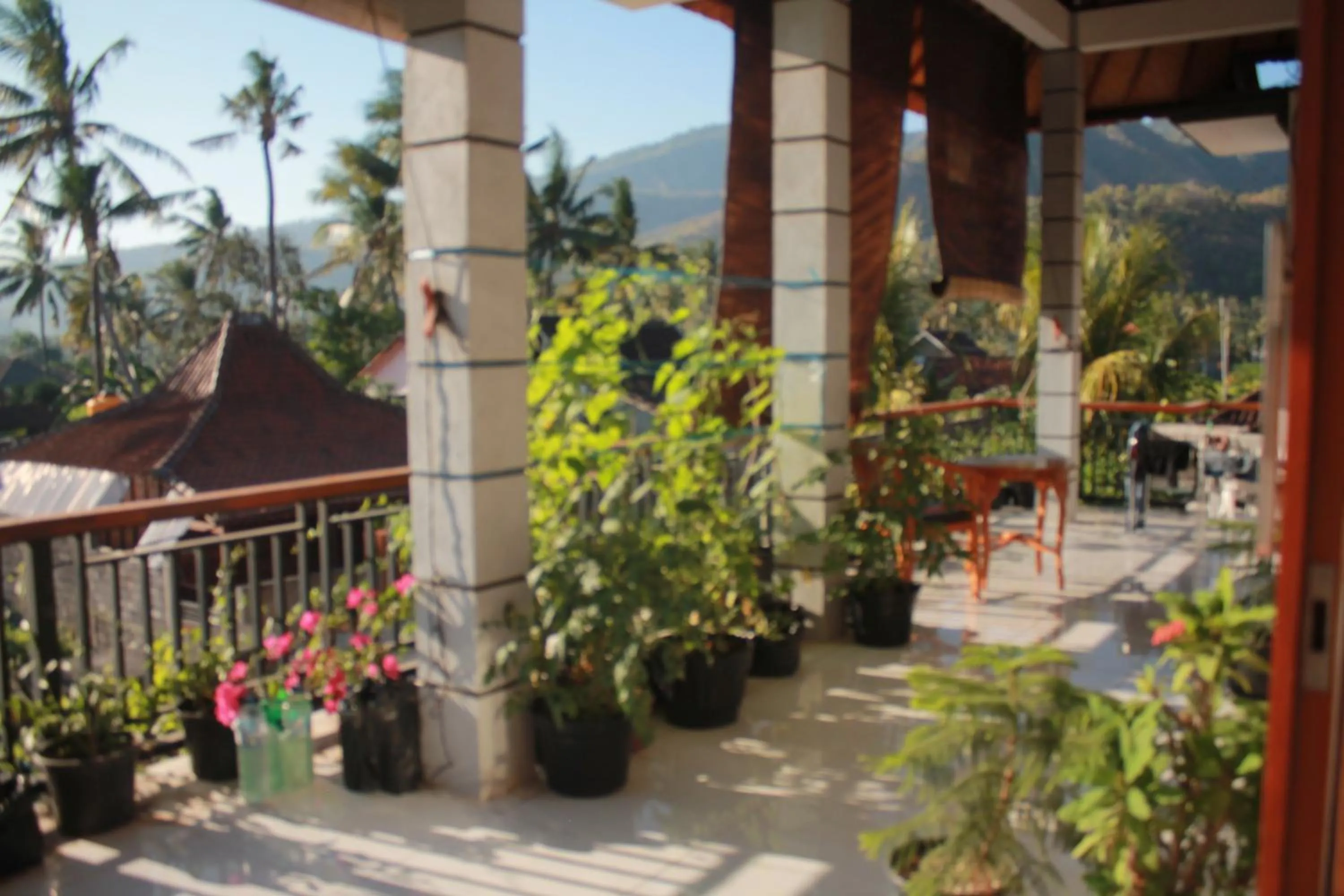 Balcony/Terrace in Blue Royal Amed