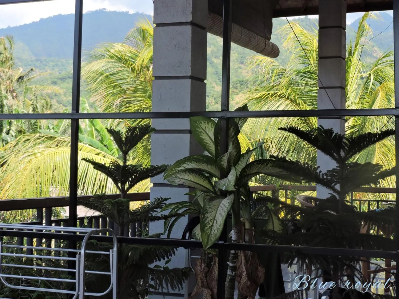 Mountain view in Blue Royal Amed