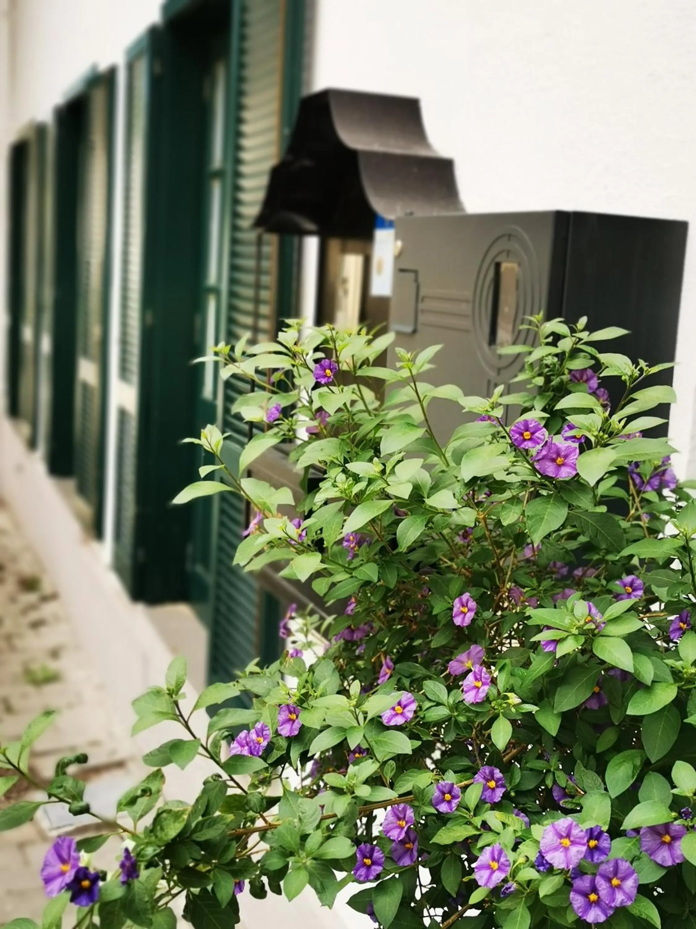 Property building in Das Stadthaus