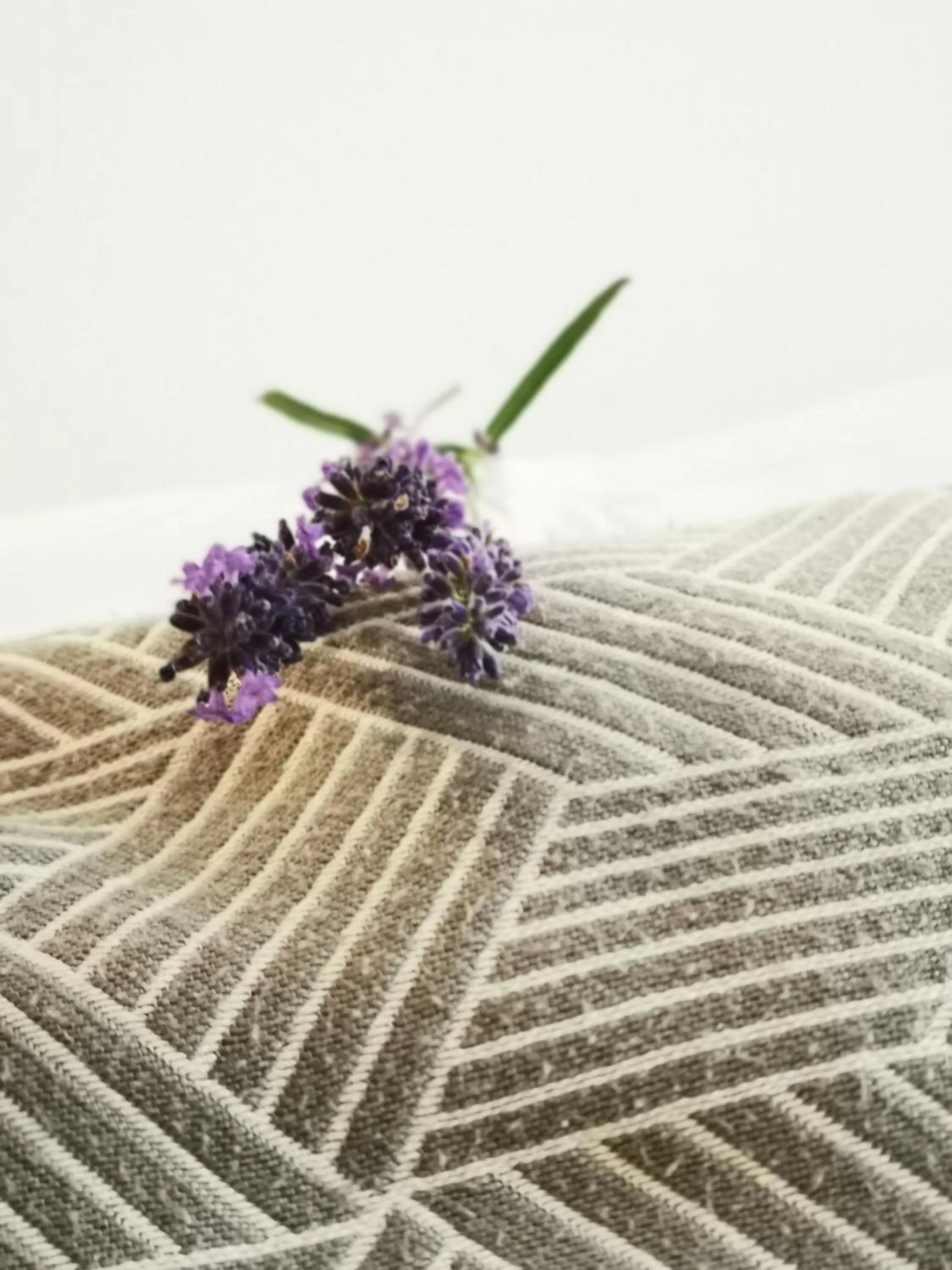 Decorative detail in Das Stadthaus