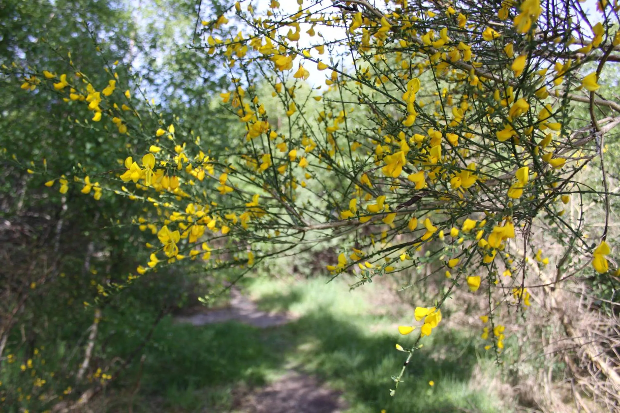Activities in Silverbridge Lodge