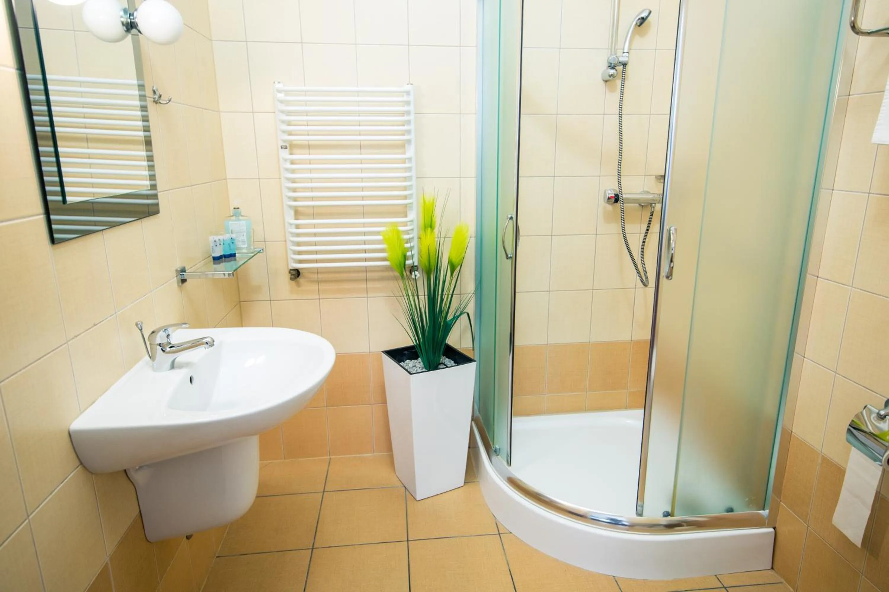 Bathroom in Hotel Villa Riviera