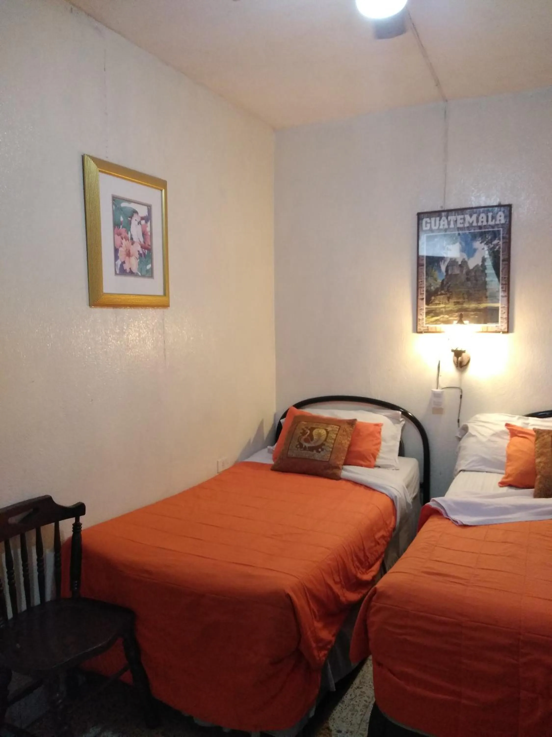 Bed in Hotel Metropolitano