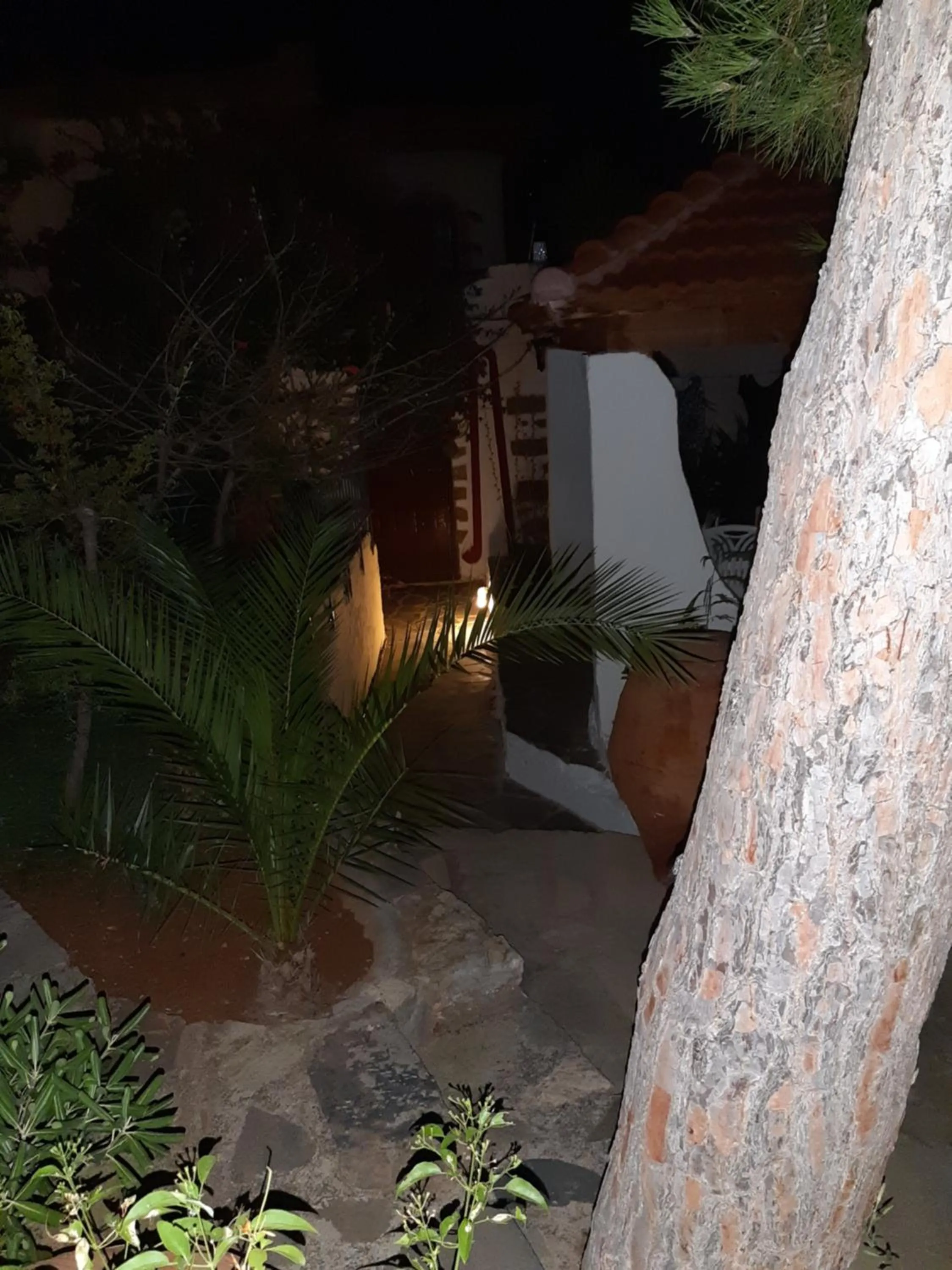 Night in Hotel Eliza