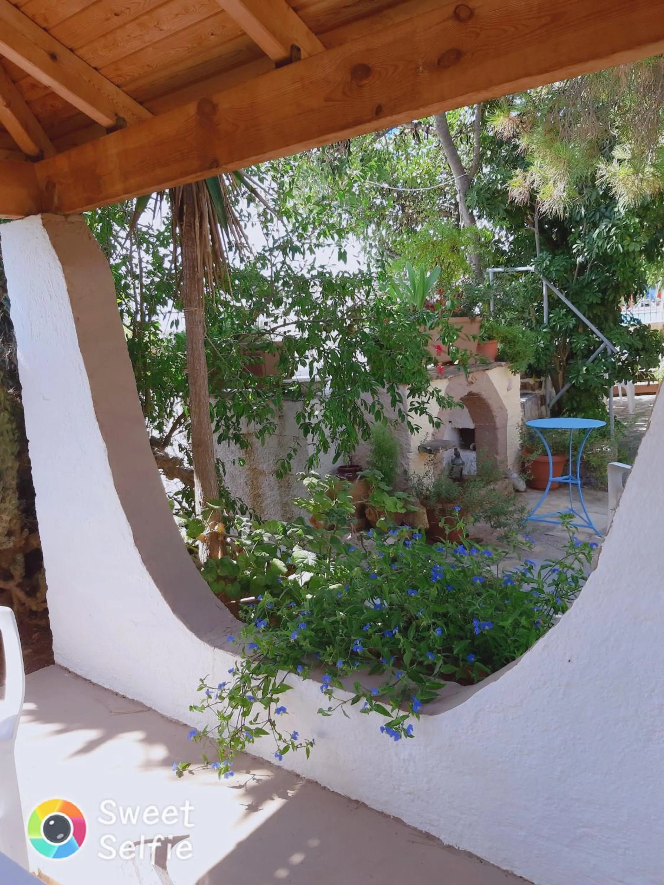 Patio in Hotel Eliza