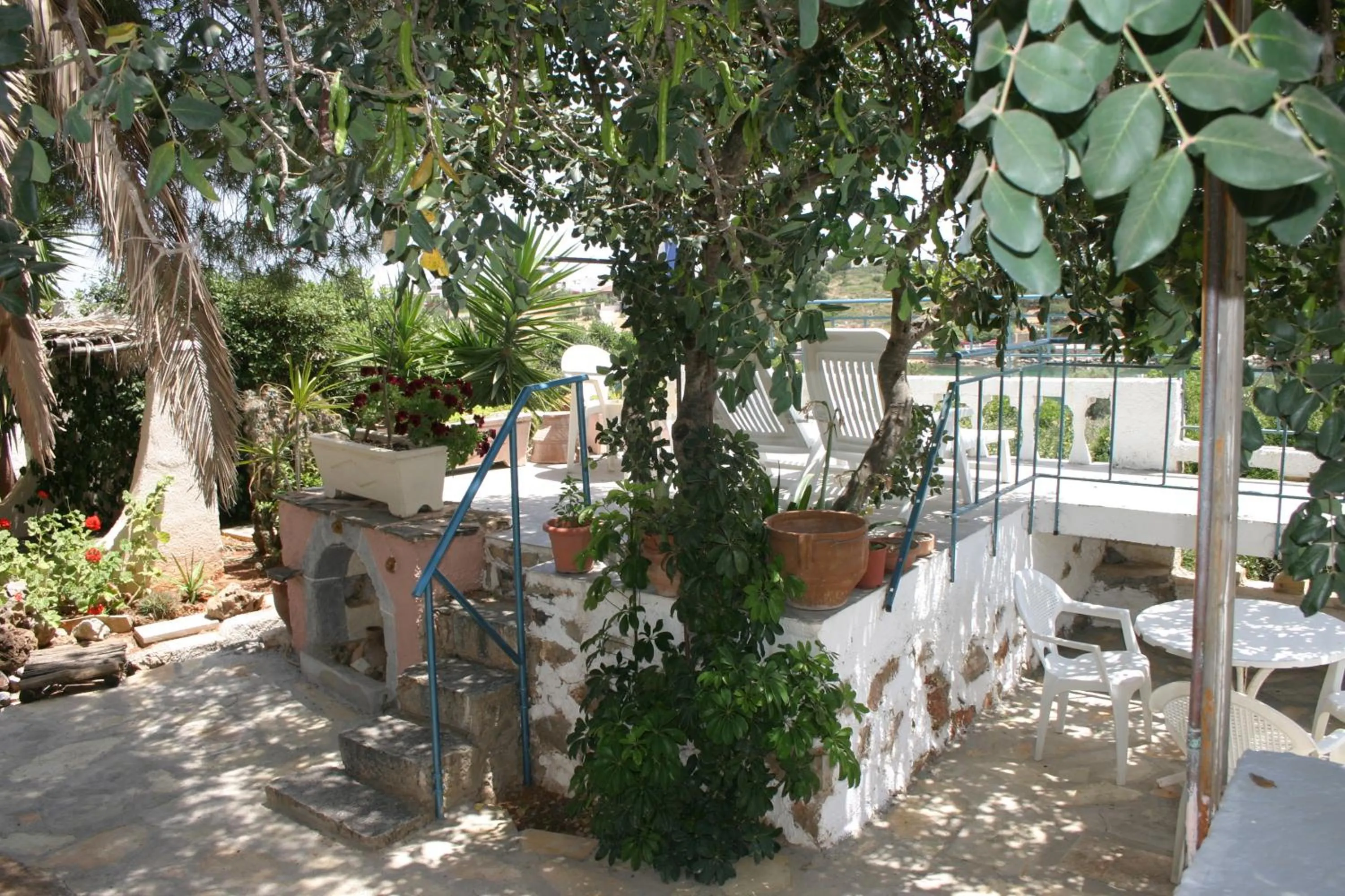 Patio in Hotel Eliza