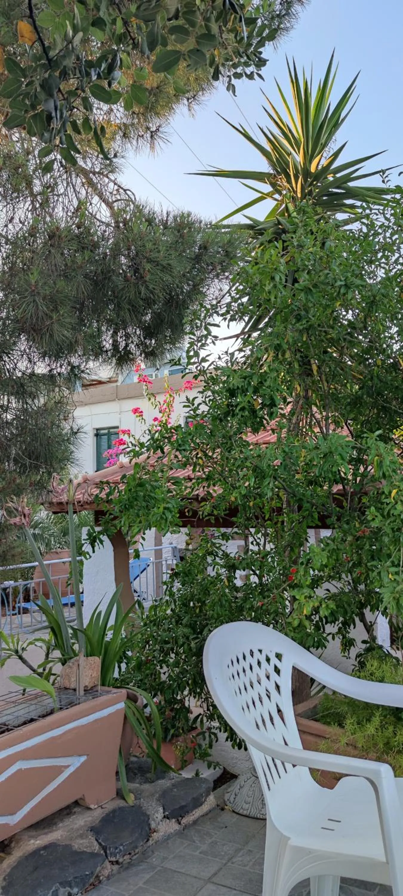 Garden in Hotel Eliza