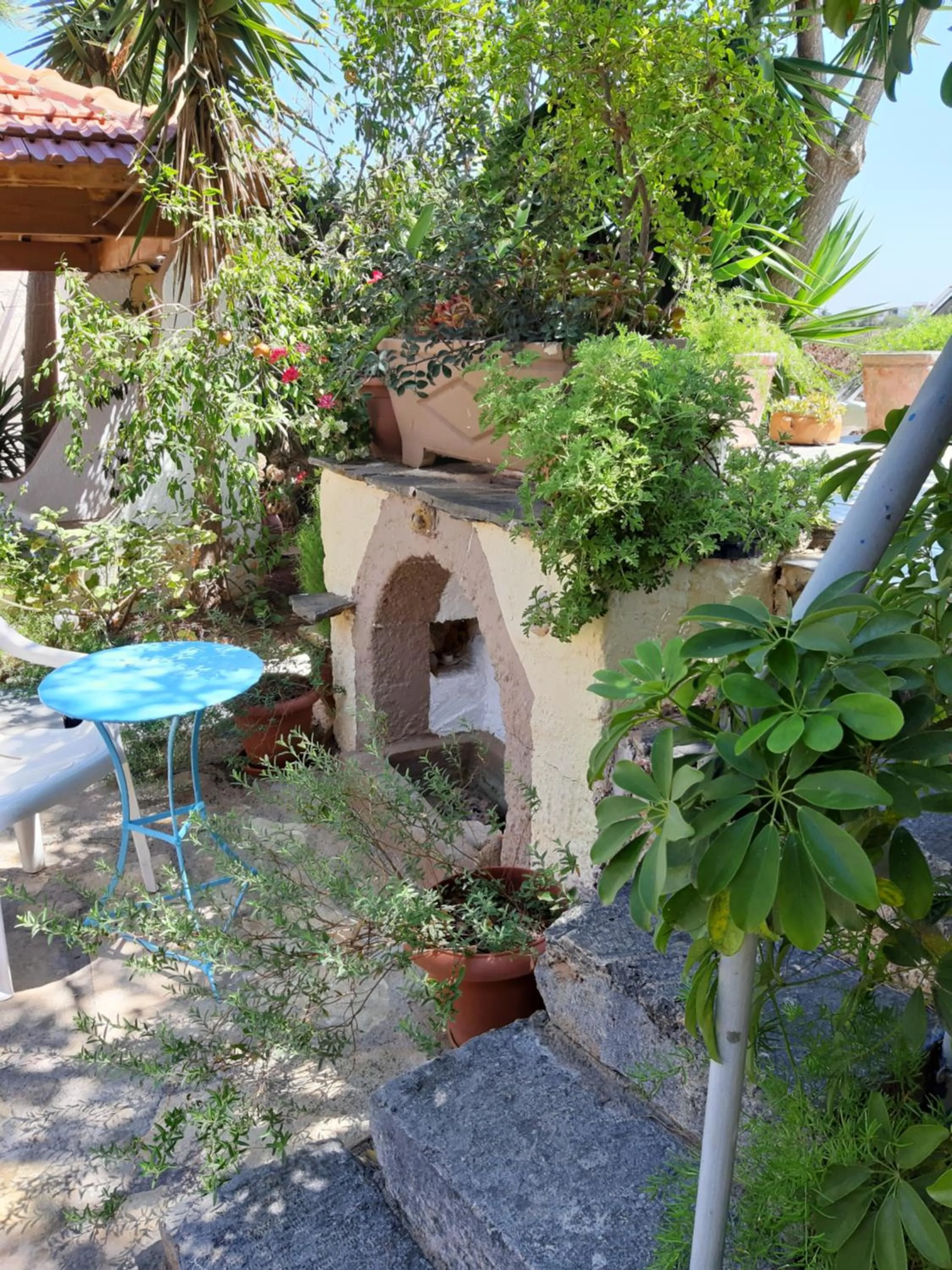 Garden in Hotel Eliza