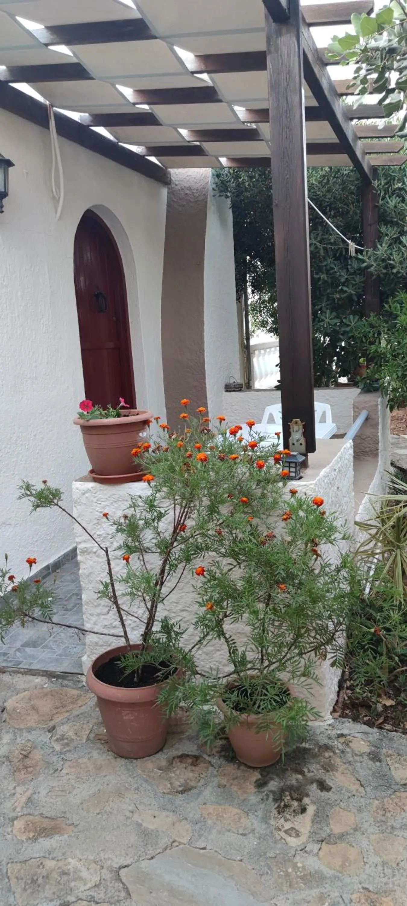 Garden in Hotel Eliza