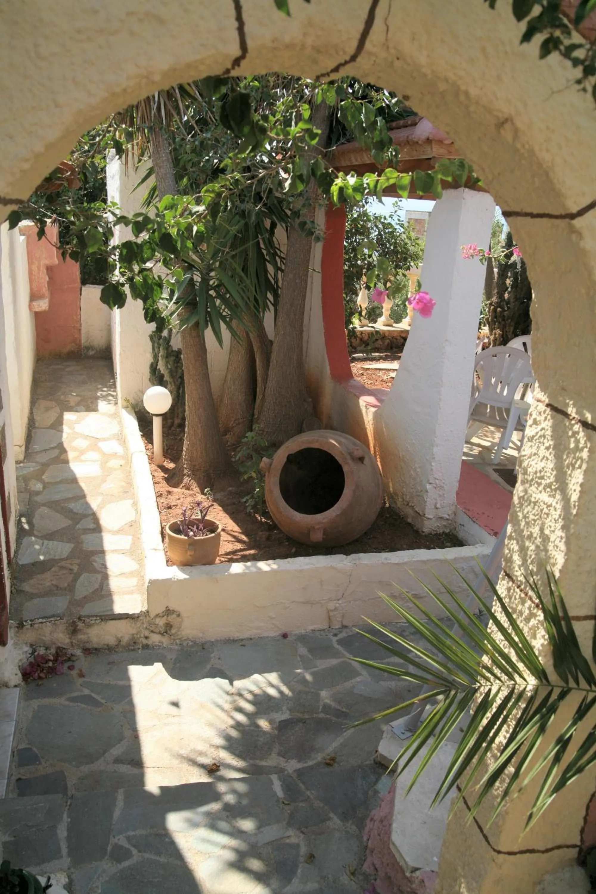 Garden in Hotel Eliza