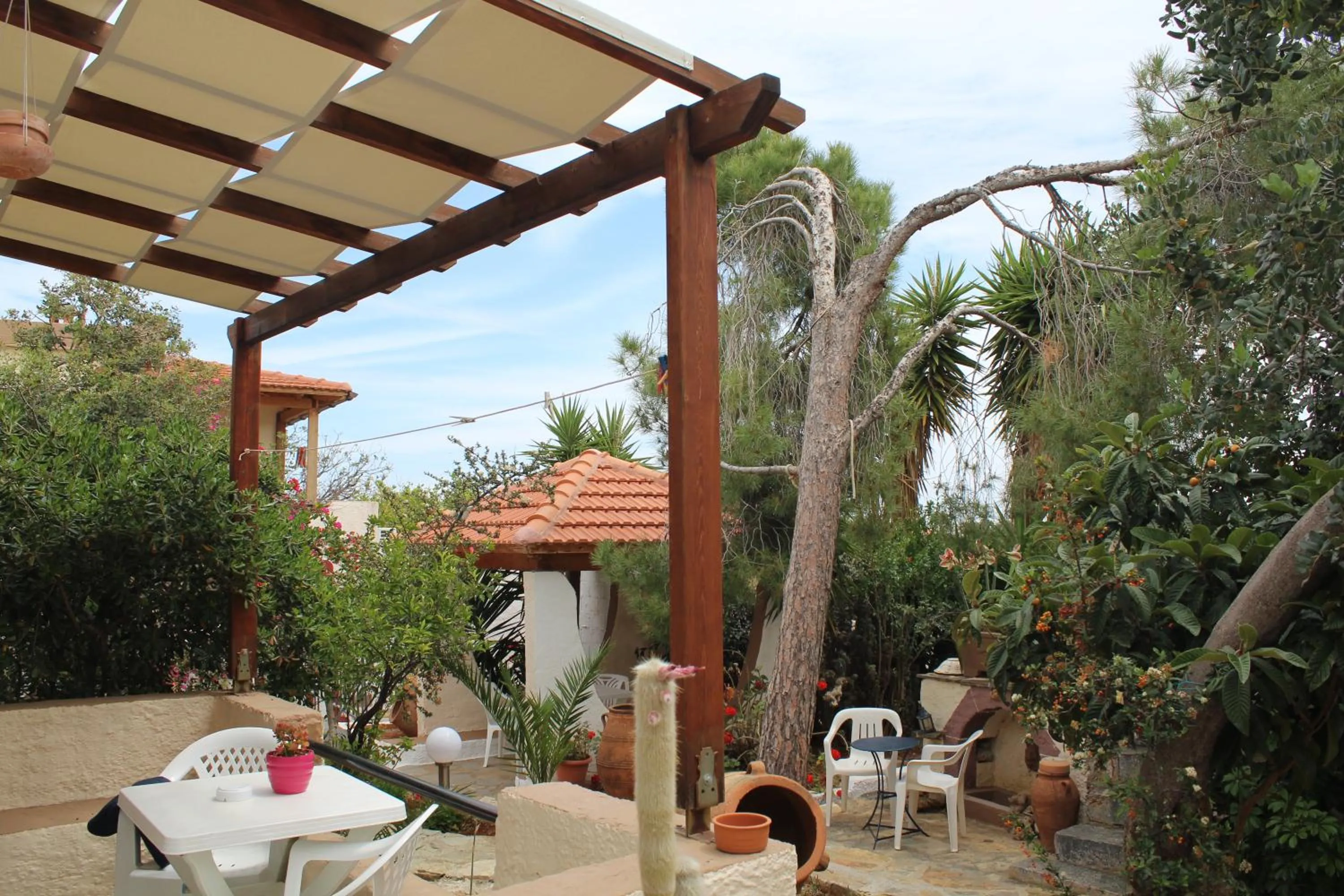 Patio in Hotel Eliza