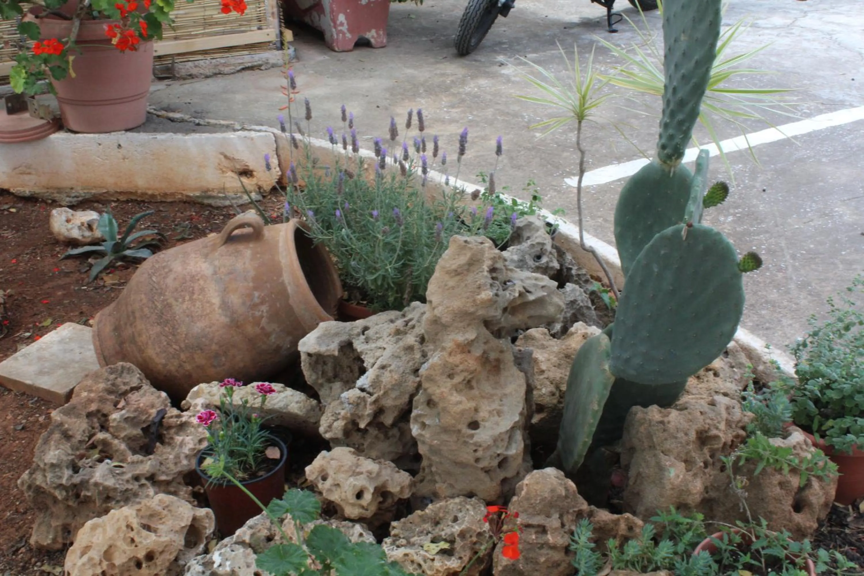 Other in Hotel Eliza