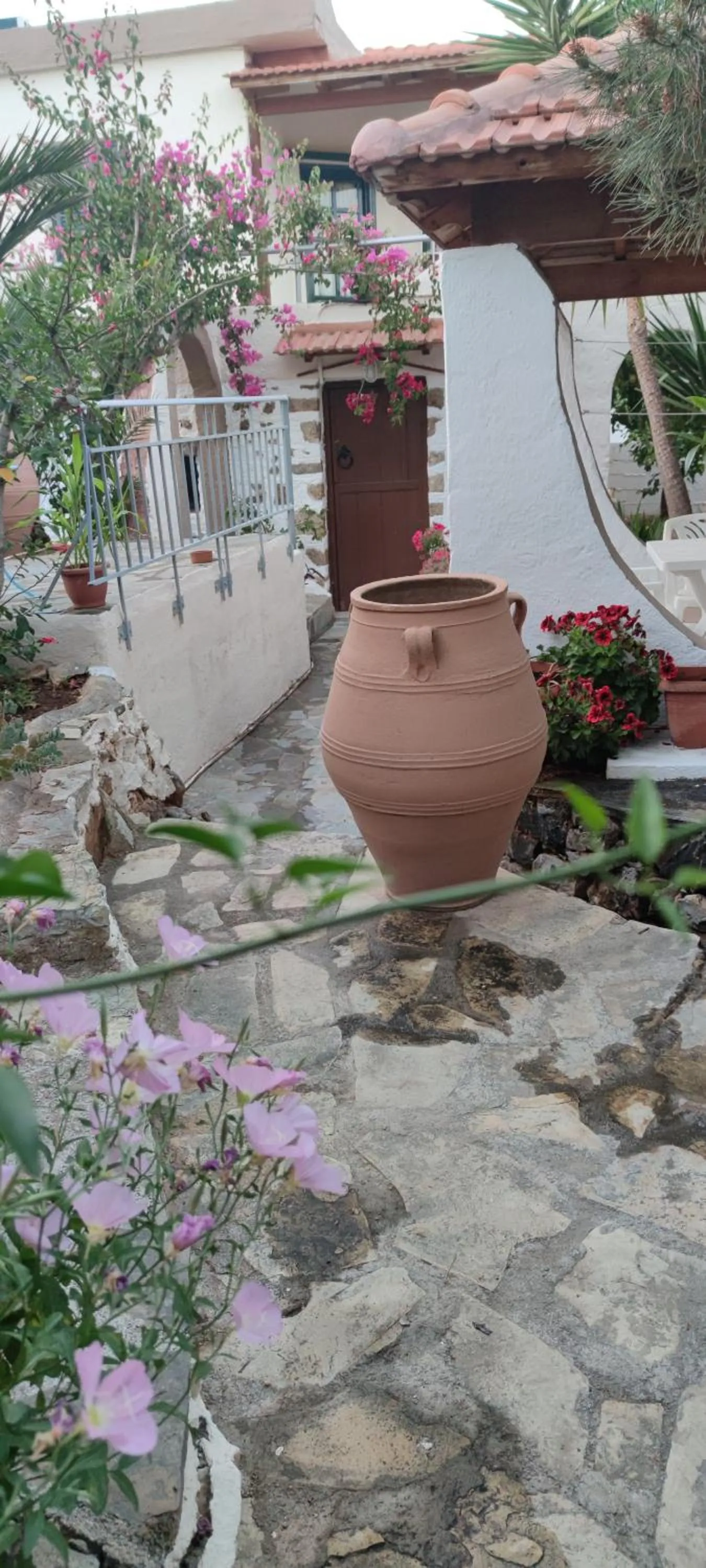 Patio in Hotel Eliza