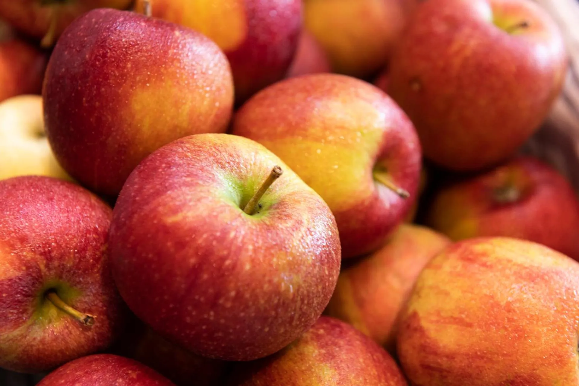 Food in Hotel Brunnenhof