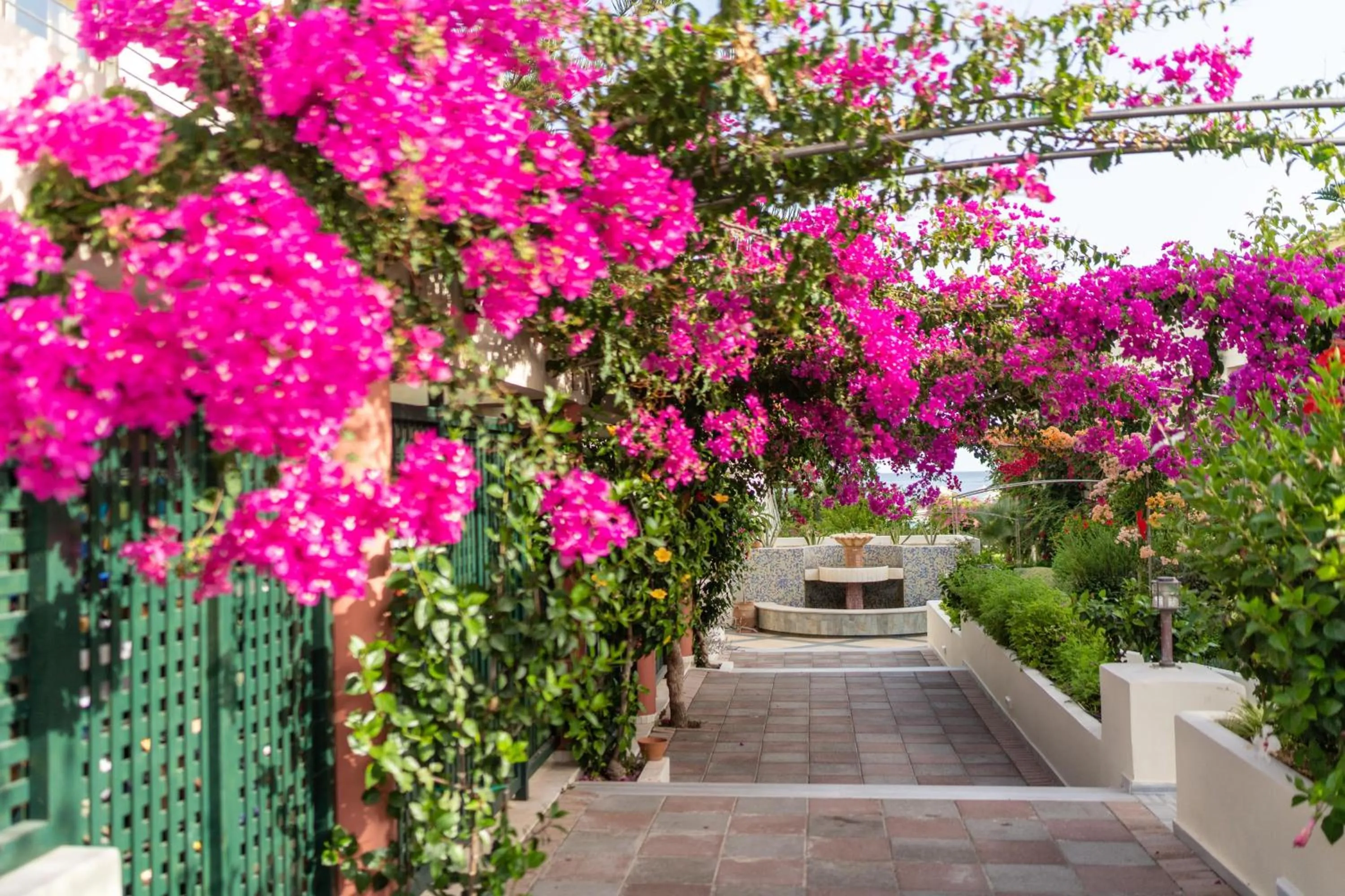 Garden in Hydramis Palace Beach Resort