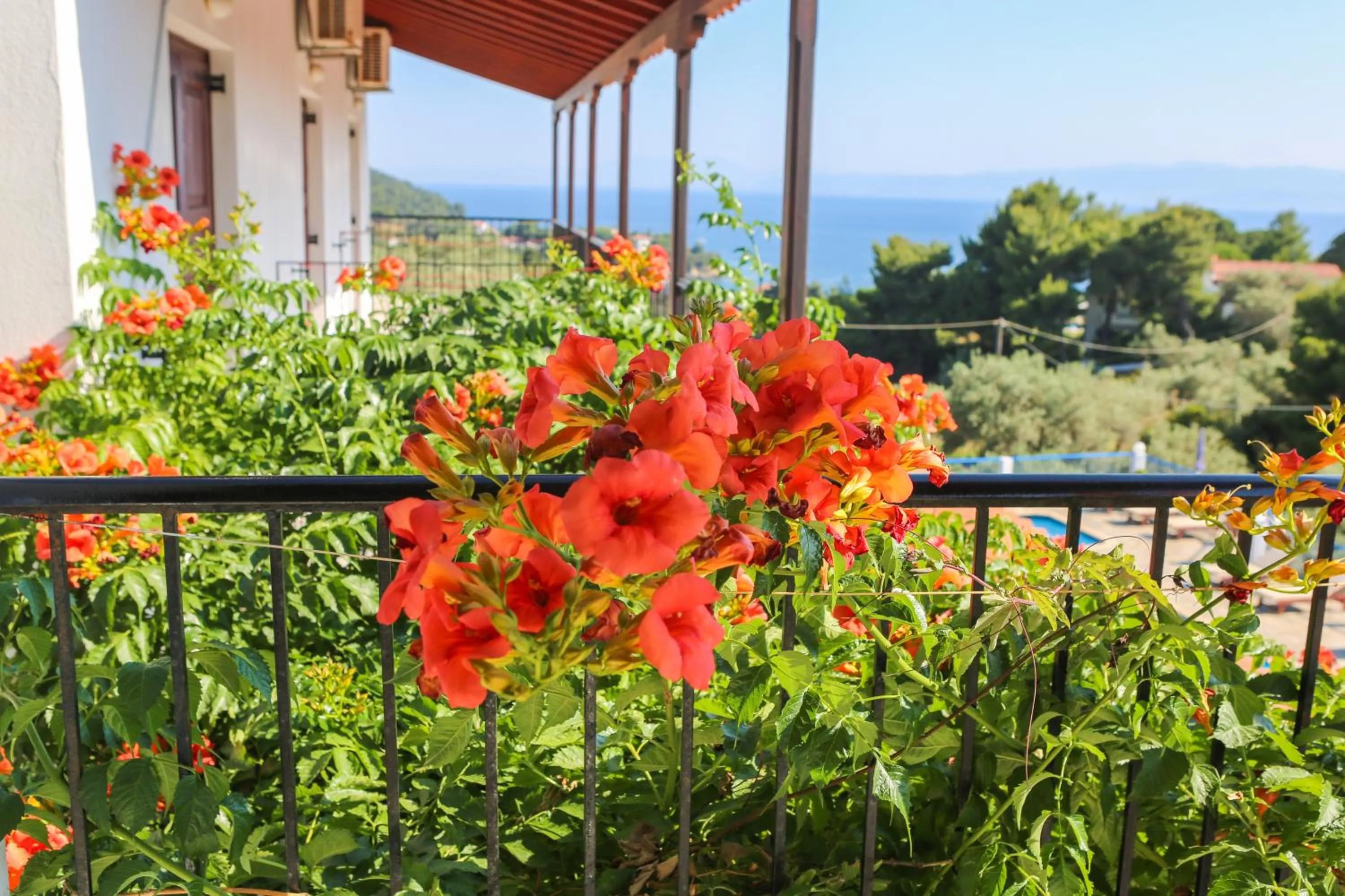 Decorative detail in Angelina Studios