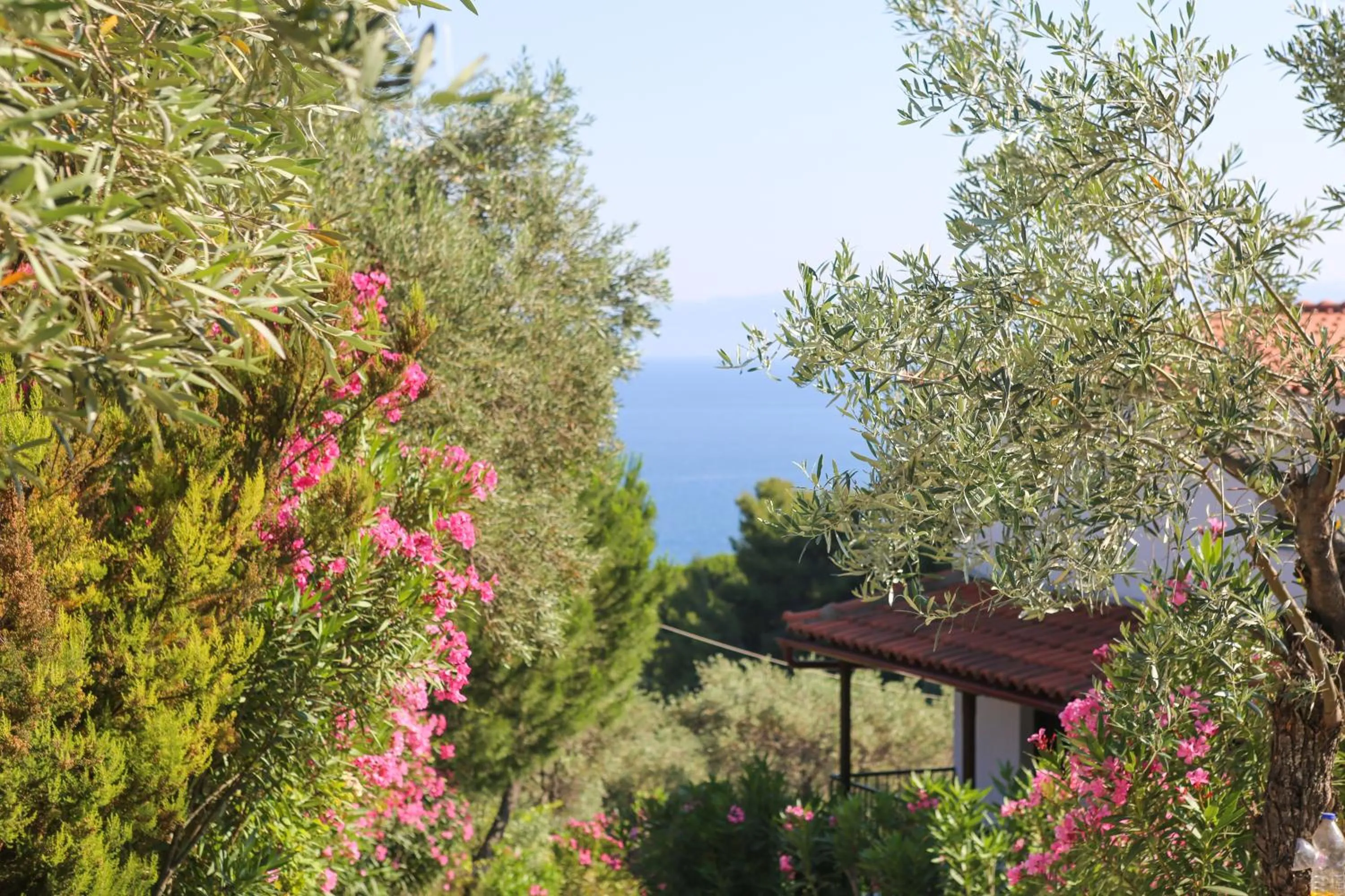 Sea view in Angelina Studios