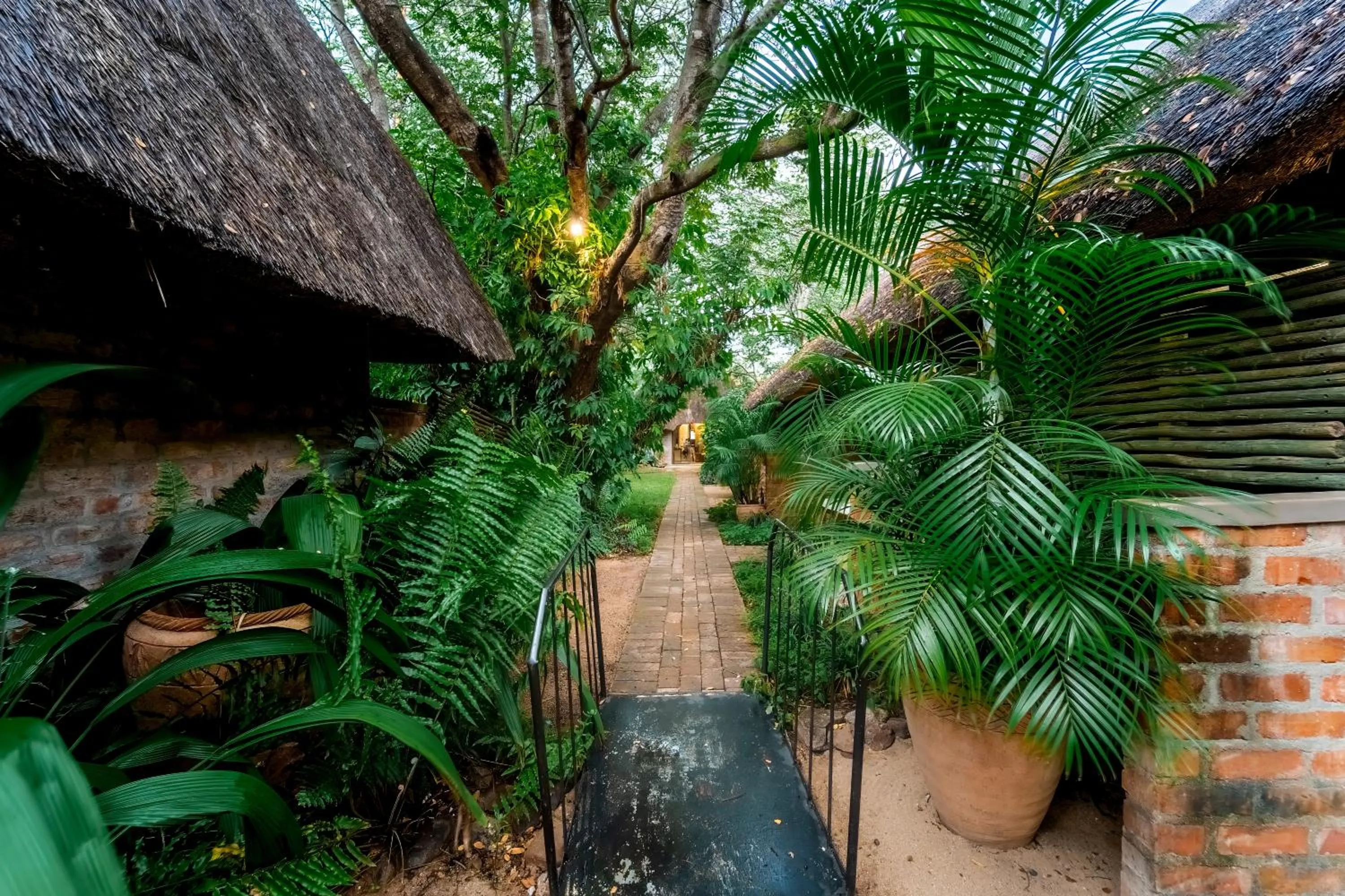 Garden in Nguni Lodge