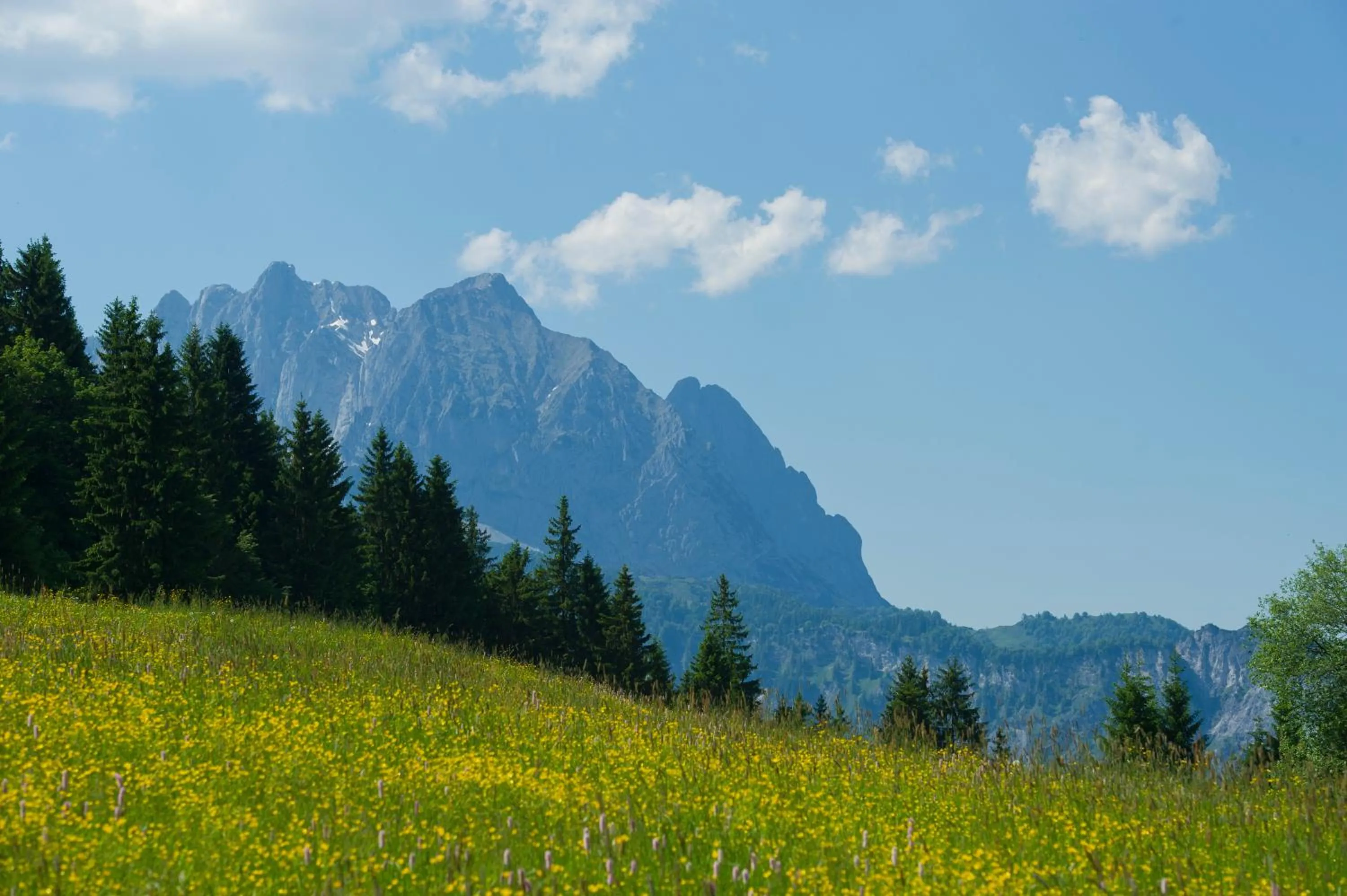 Spring in Hotel Gut Kramerhof