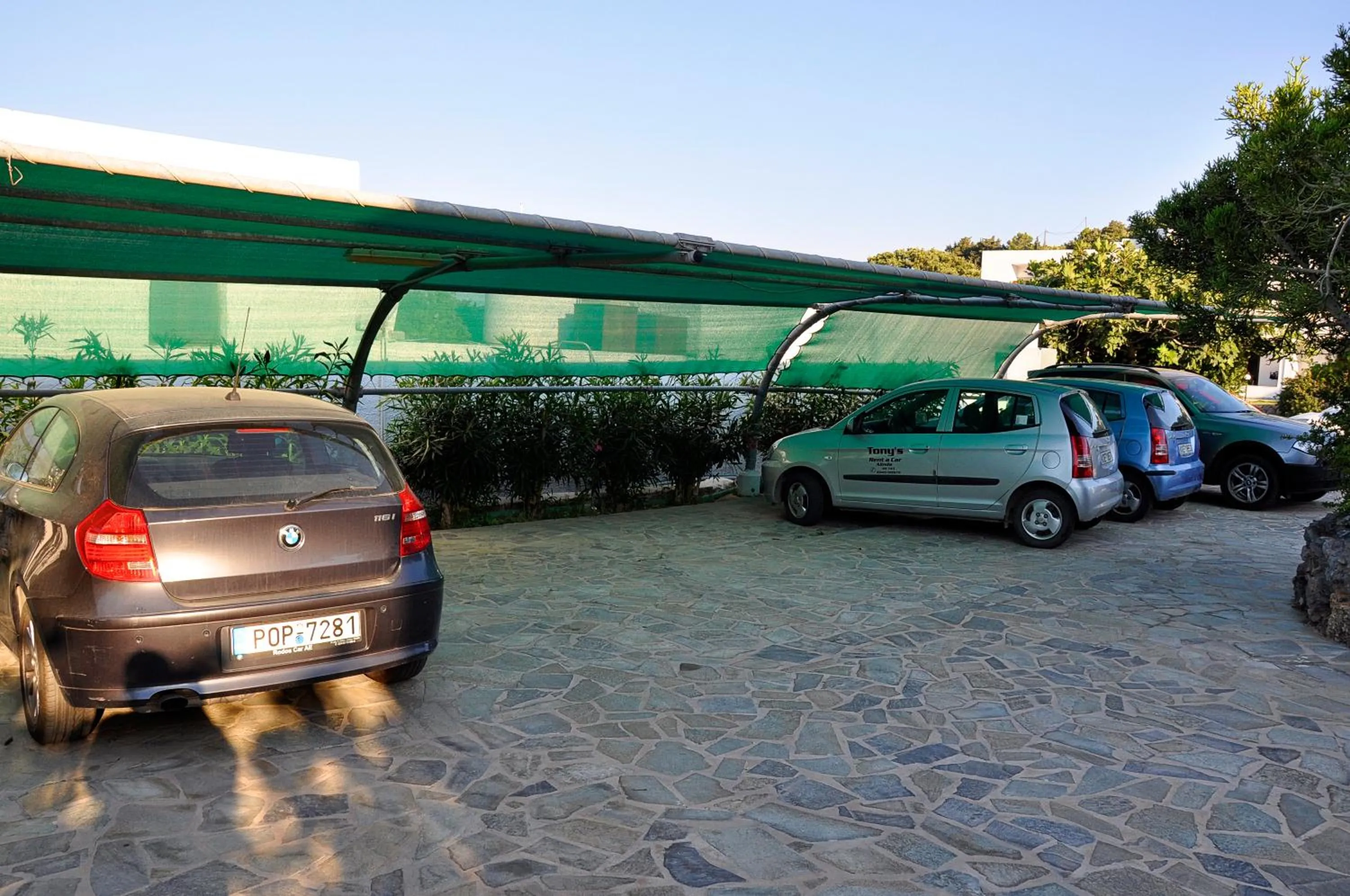 Spring in Tony's Beach Hotel