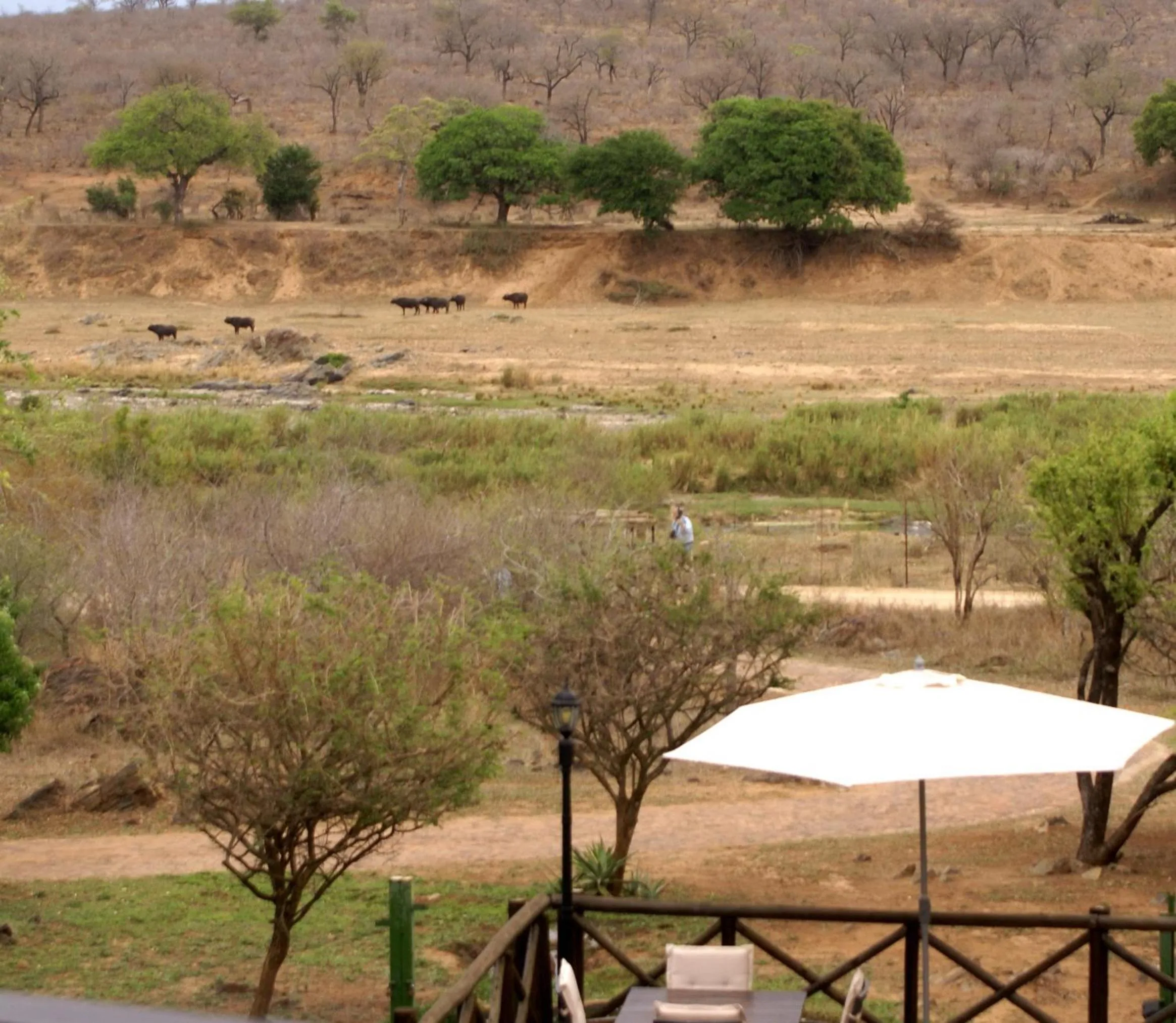 View (from property/room) in Crocodile Kruger Safari Lodge