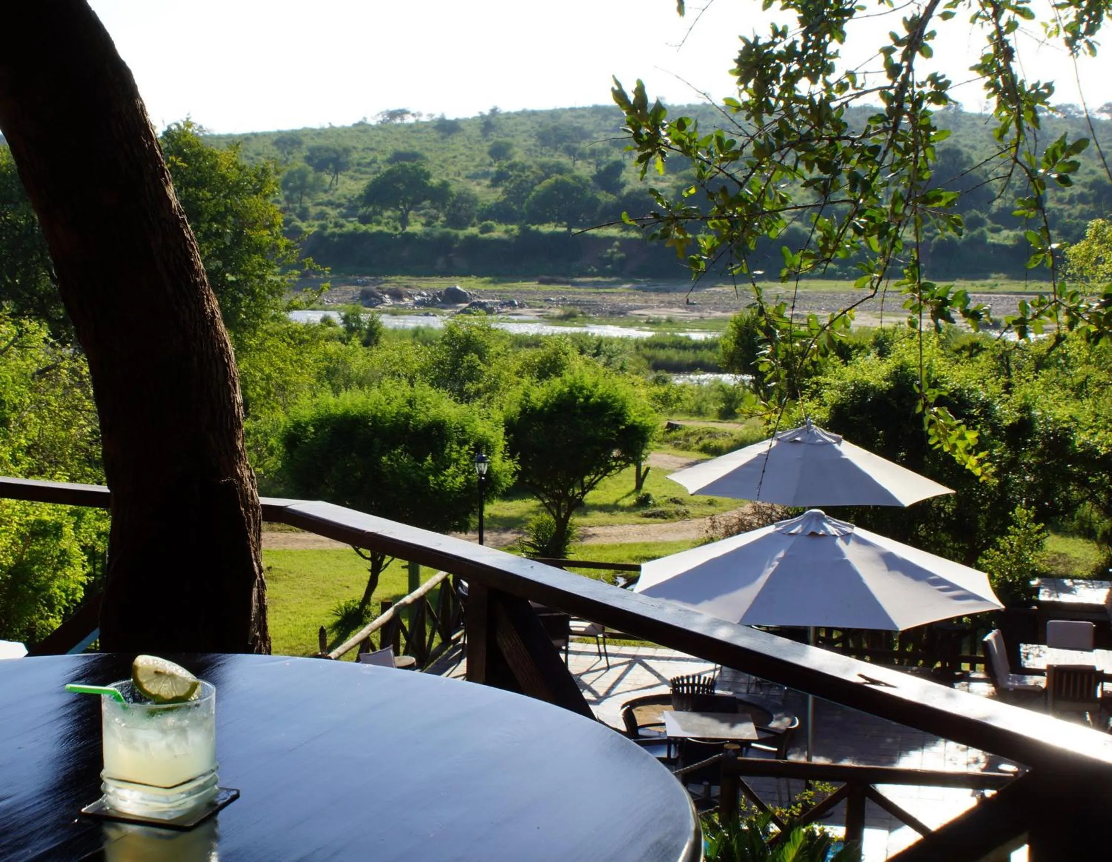 View (from property/room) in Crocodile Kruger Safari Lodge