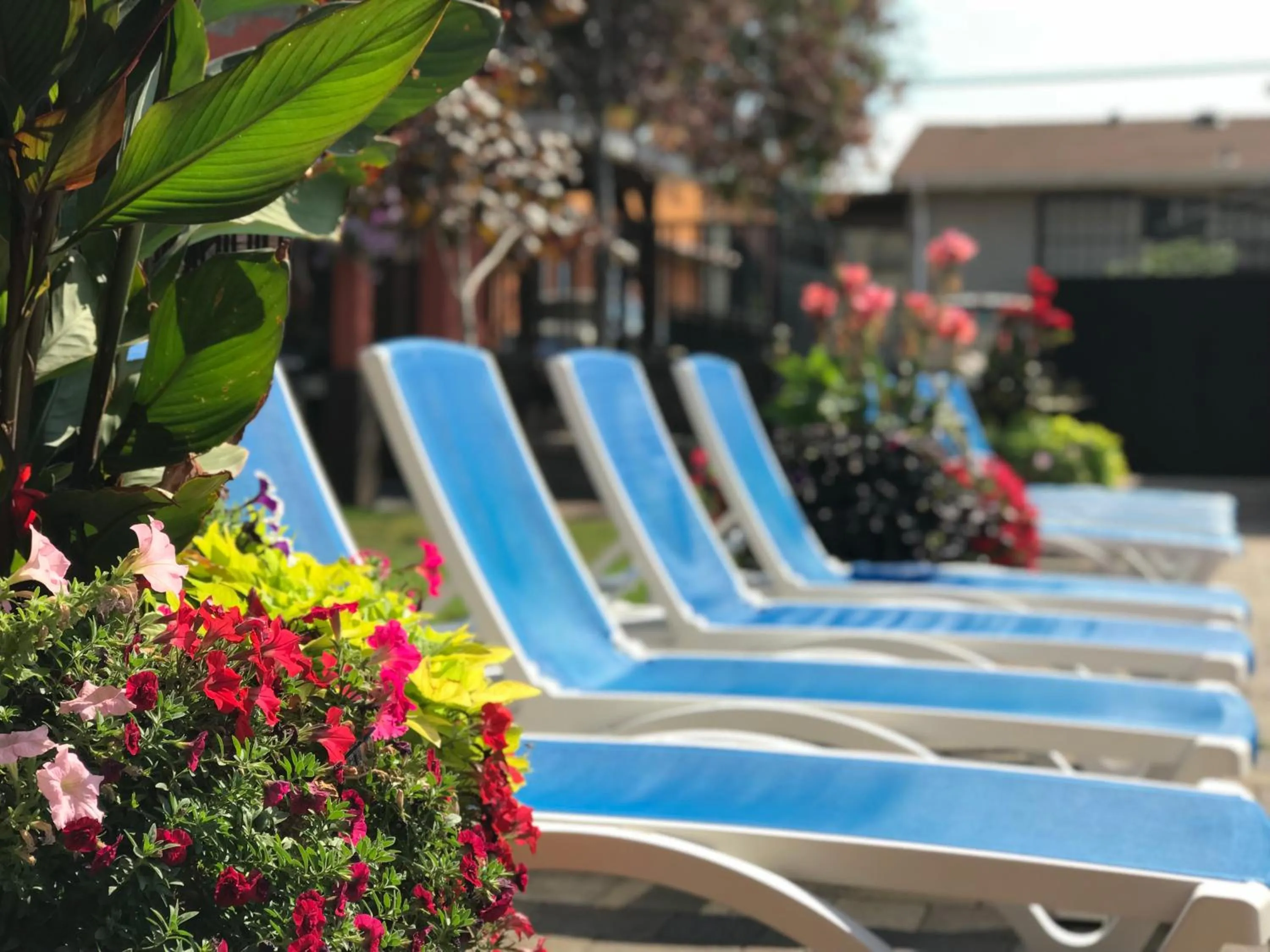 Sahara Courtyard Inn & Suites Osoyoos