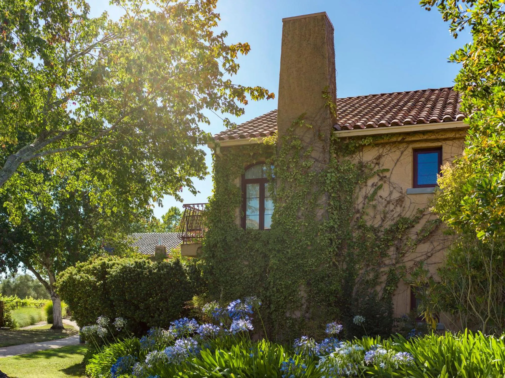 Property building in Vinarosa Resort & Spa