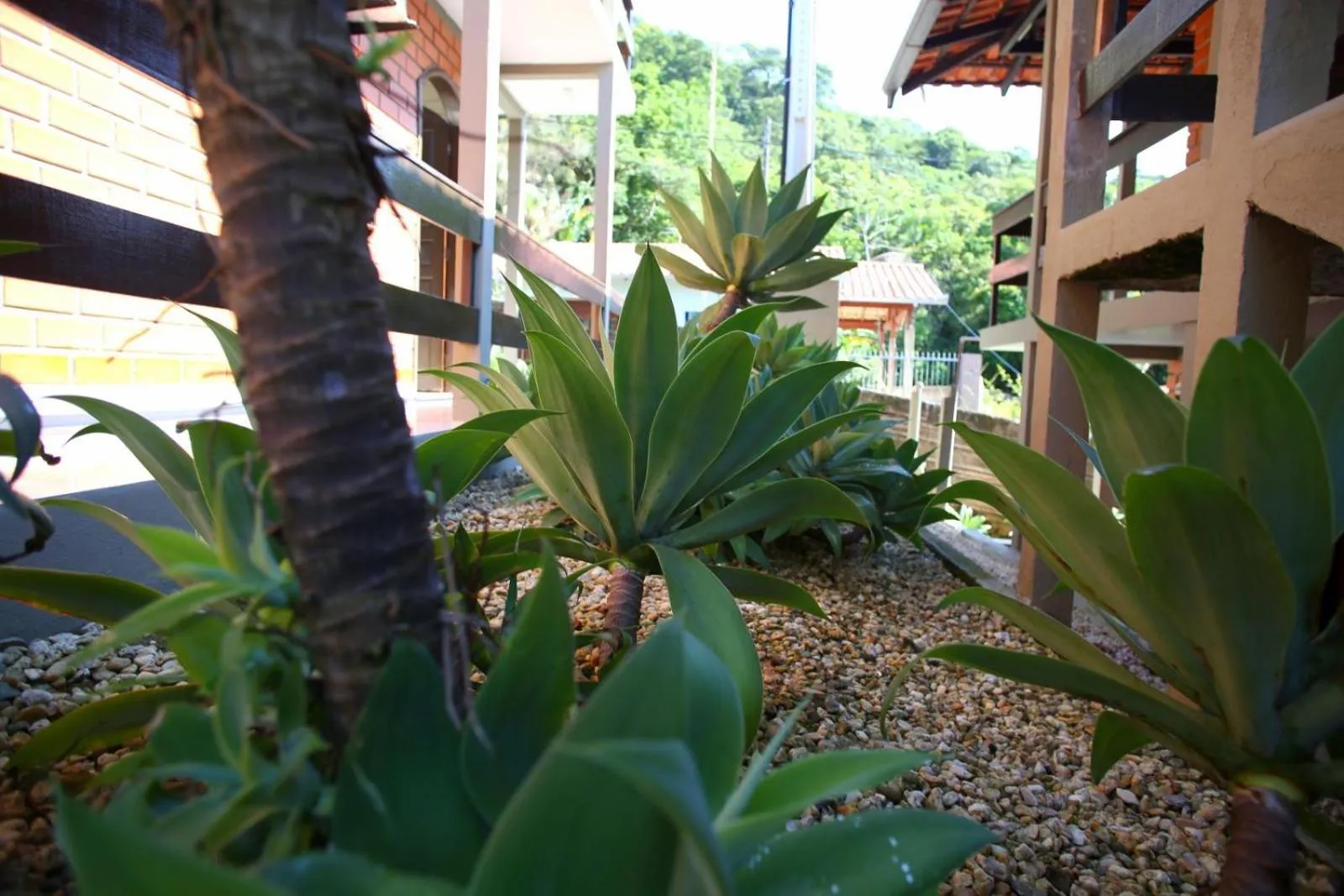 Garden view in Pousada Magnus