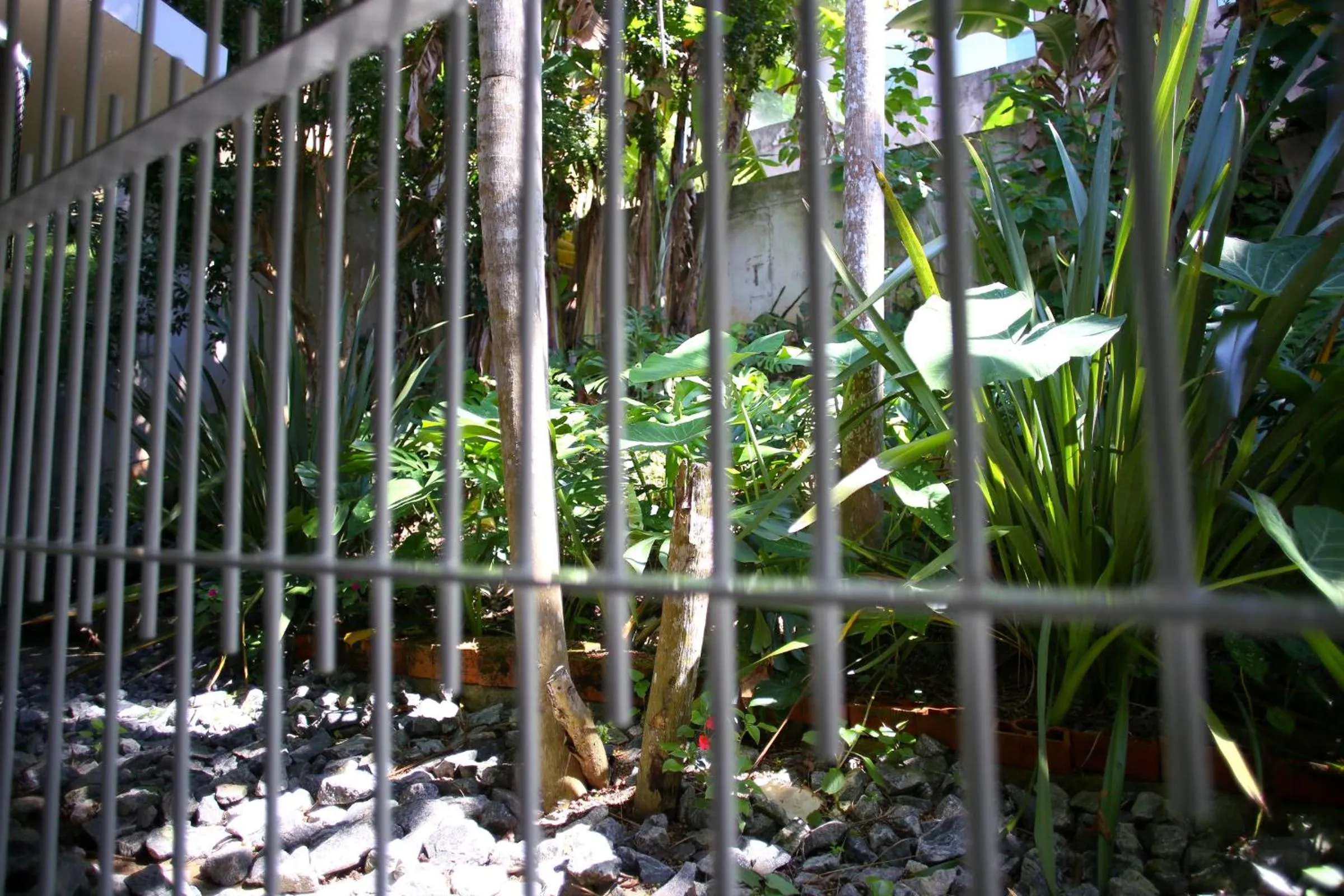 Garden view in Pousada Magnus