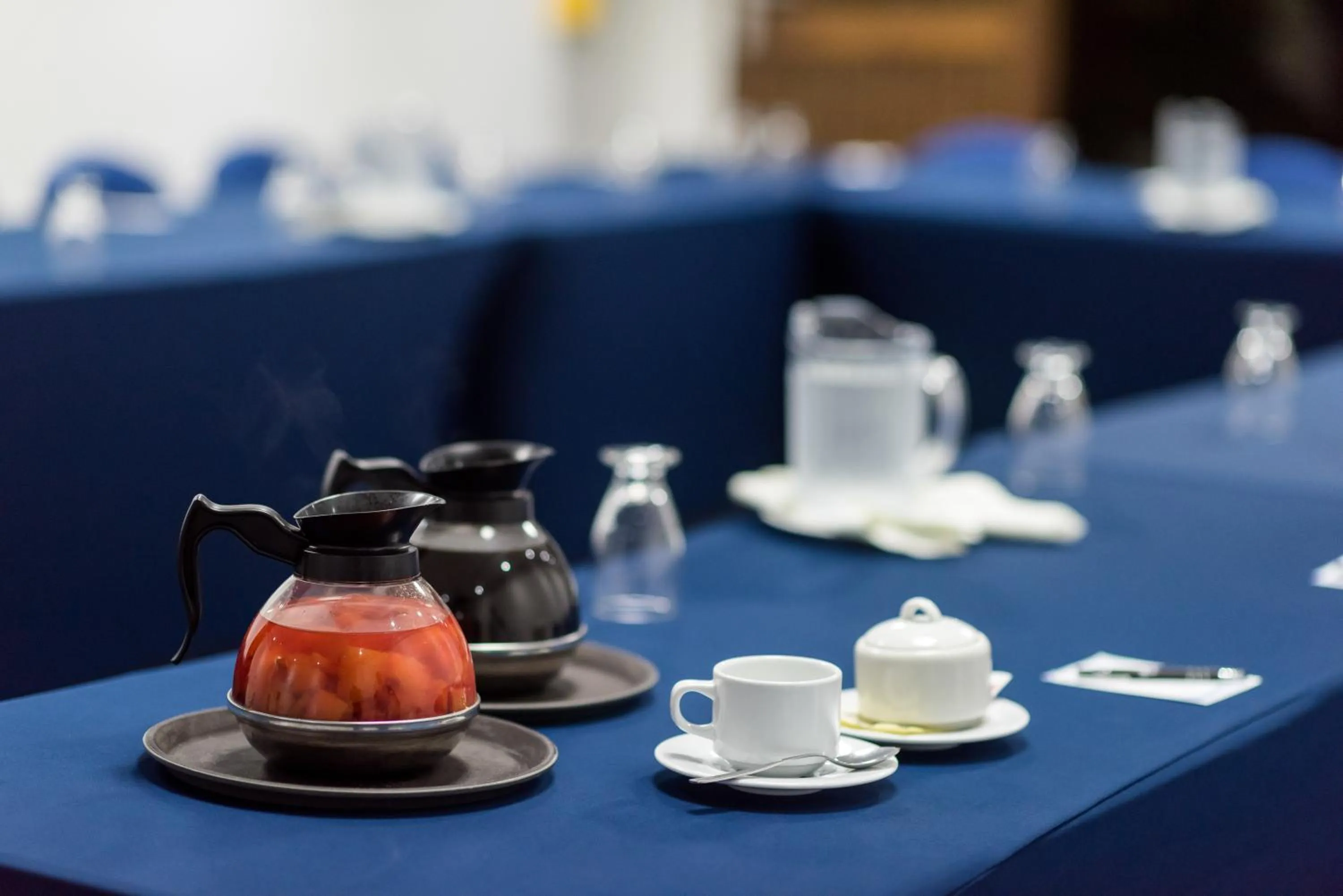 Meeting/conference room in Tamaca Beach Resort