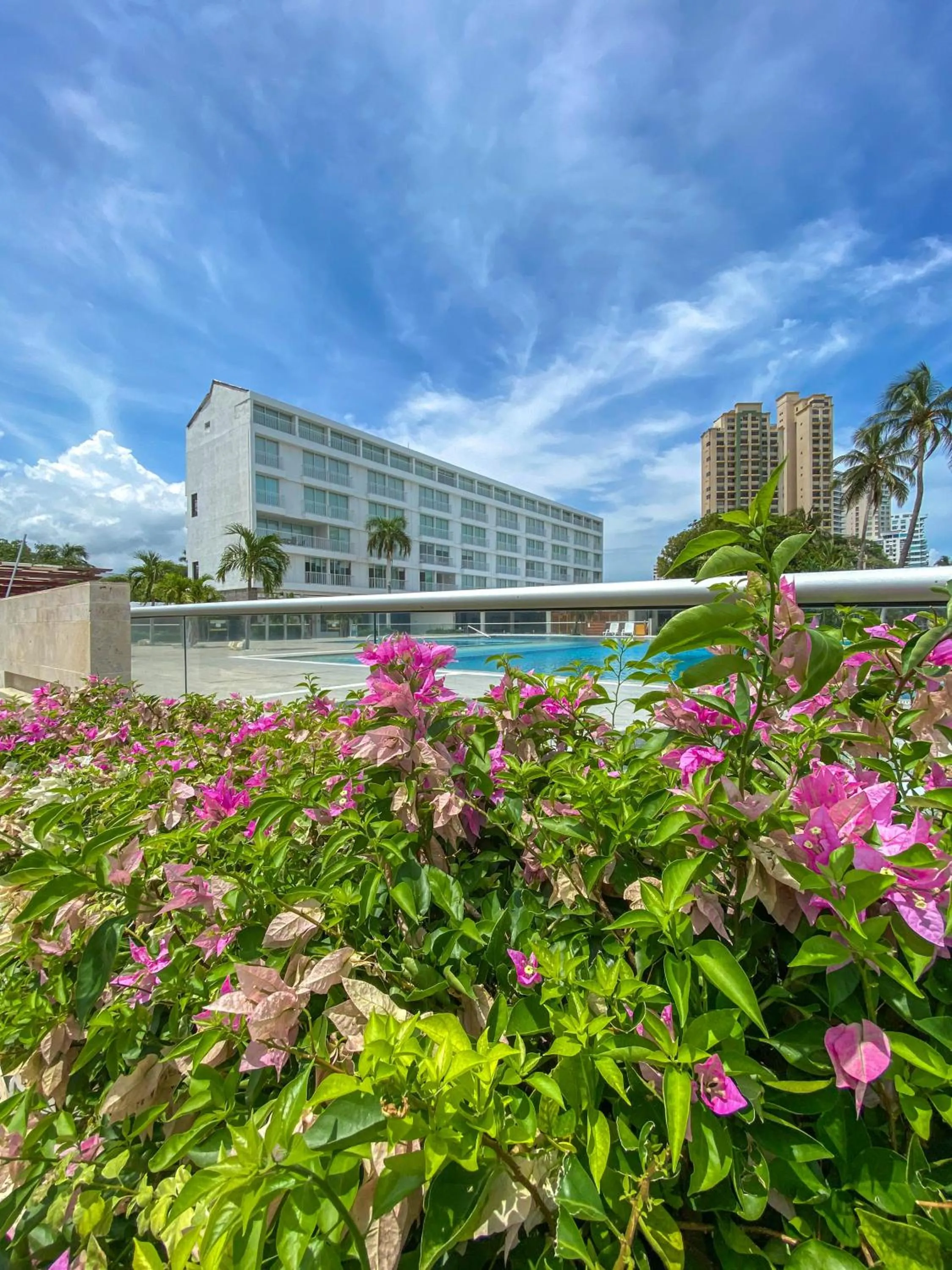 Garden in Tamaca Beach Resort