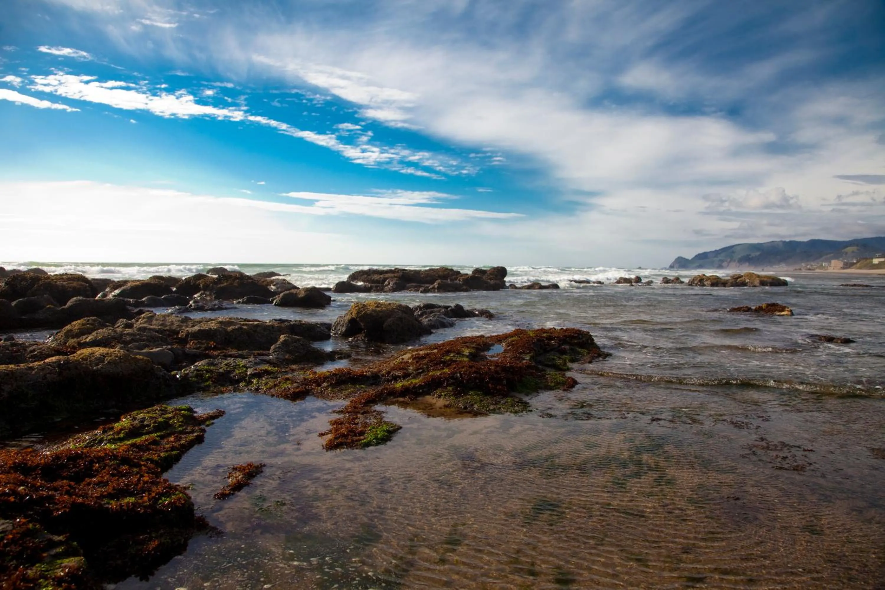 Beach in The Coho Oceanfront Lodge