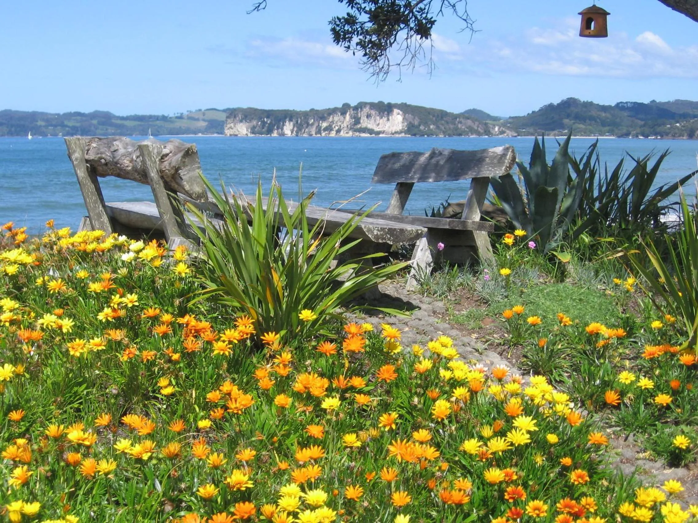 Patio in Beachfront Resort