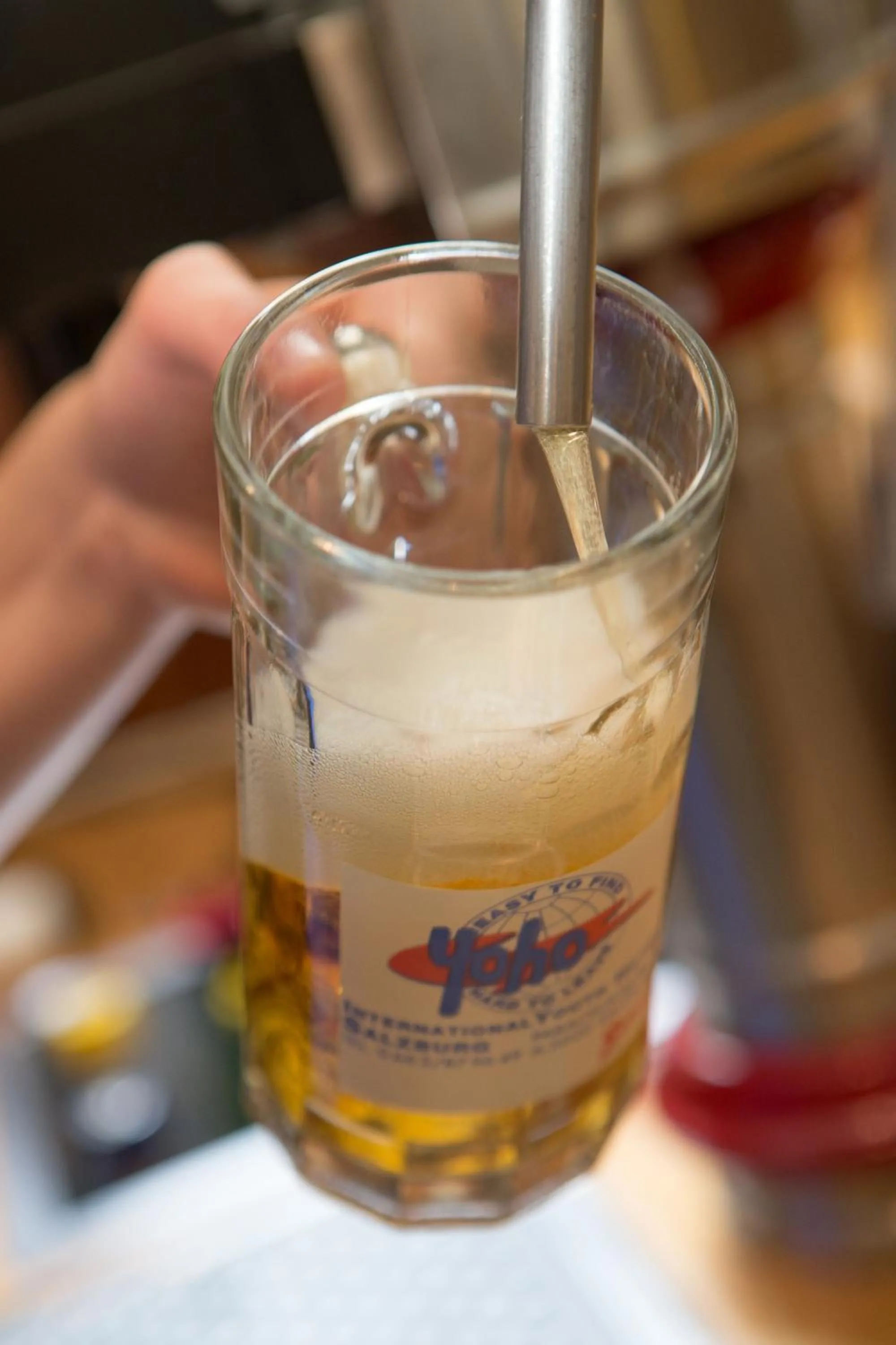 Alcoholic drinks in YoHo - International Youth Hostel