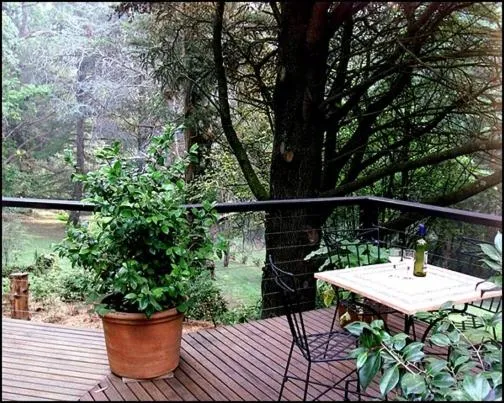 View (from property/room) in Lochiel Luxury Accommodation