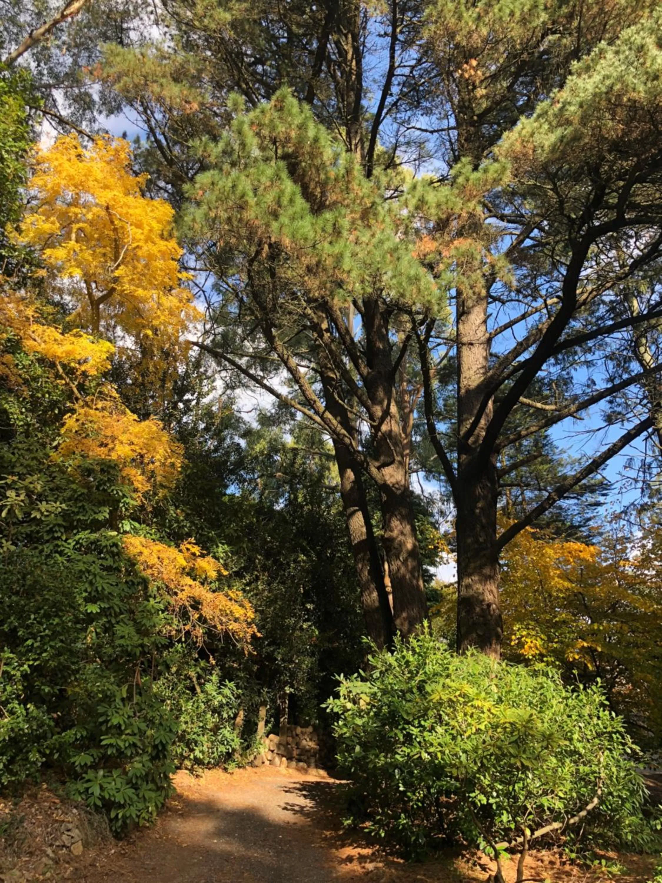 Natural landscape in Lochiel Luxury Accommodation