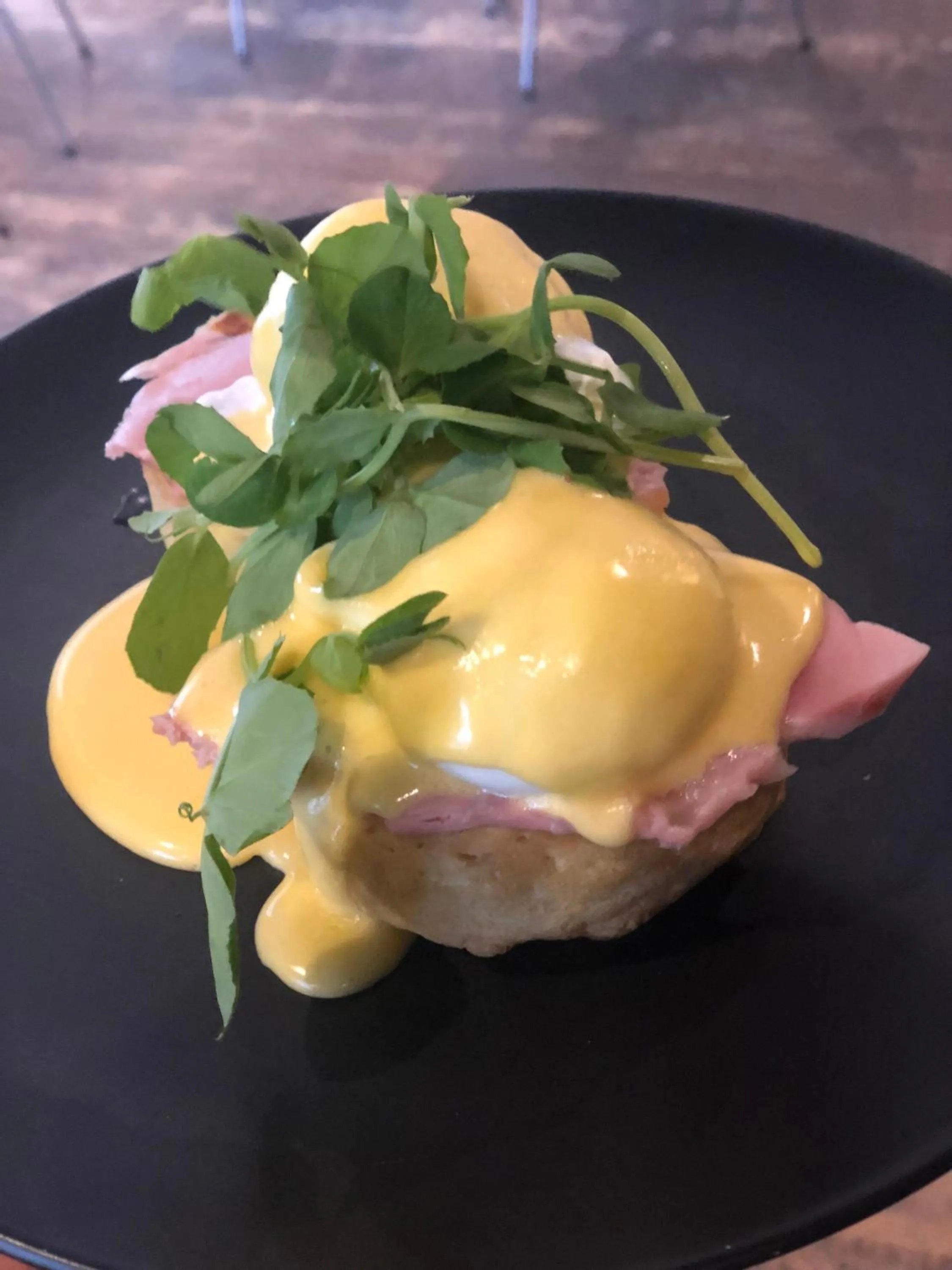 Garden in Lochiel Luxury Accommodation