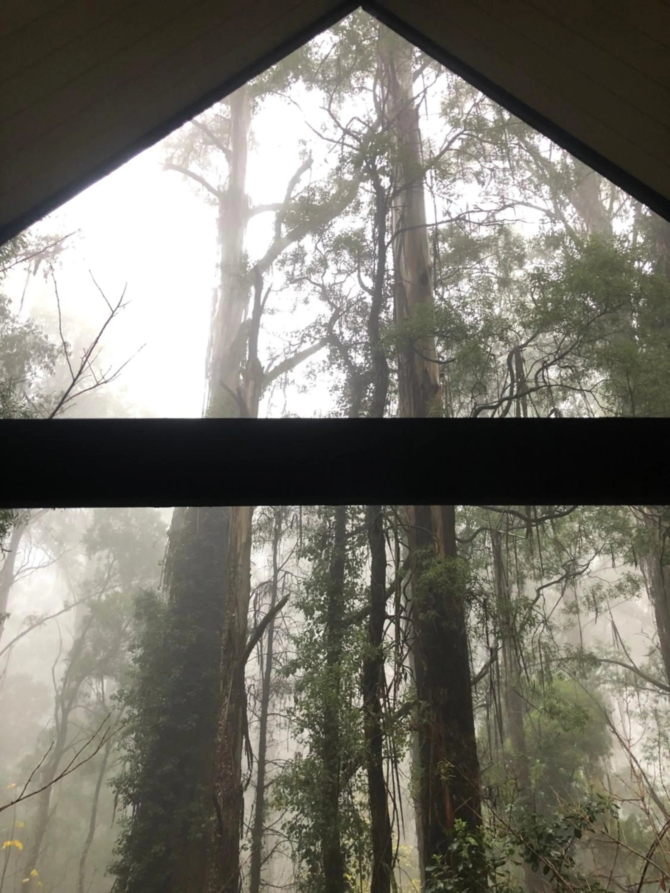 View (from property/room) in Lochiel Luxury Accommodation