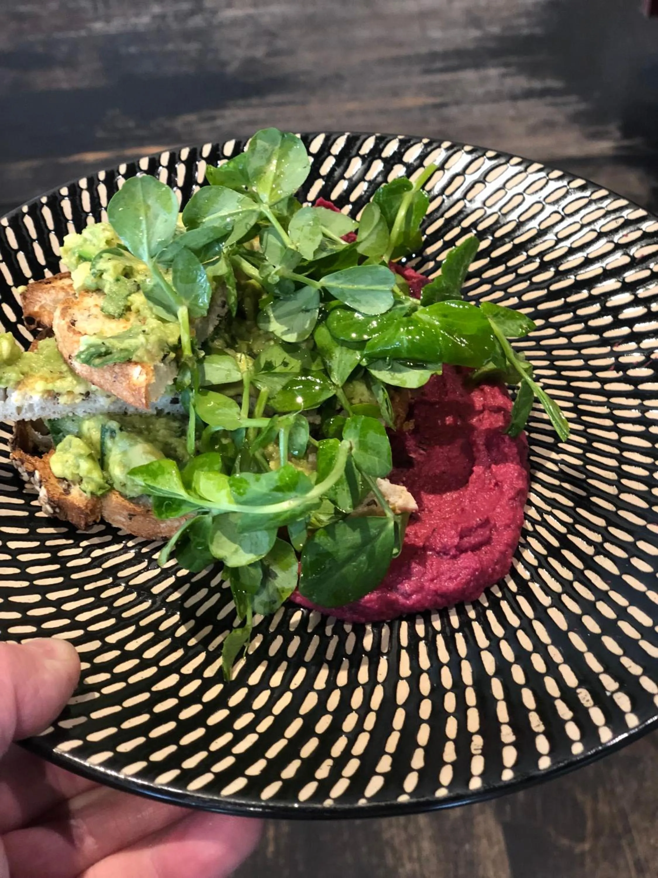 Garden in Lochiel Luxury Accommodation