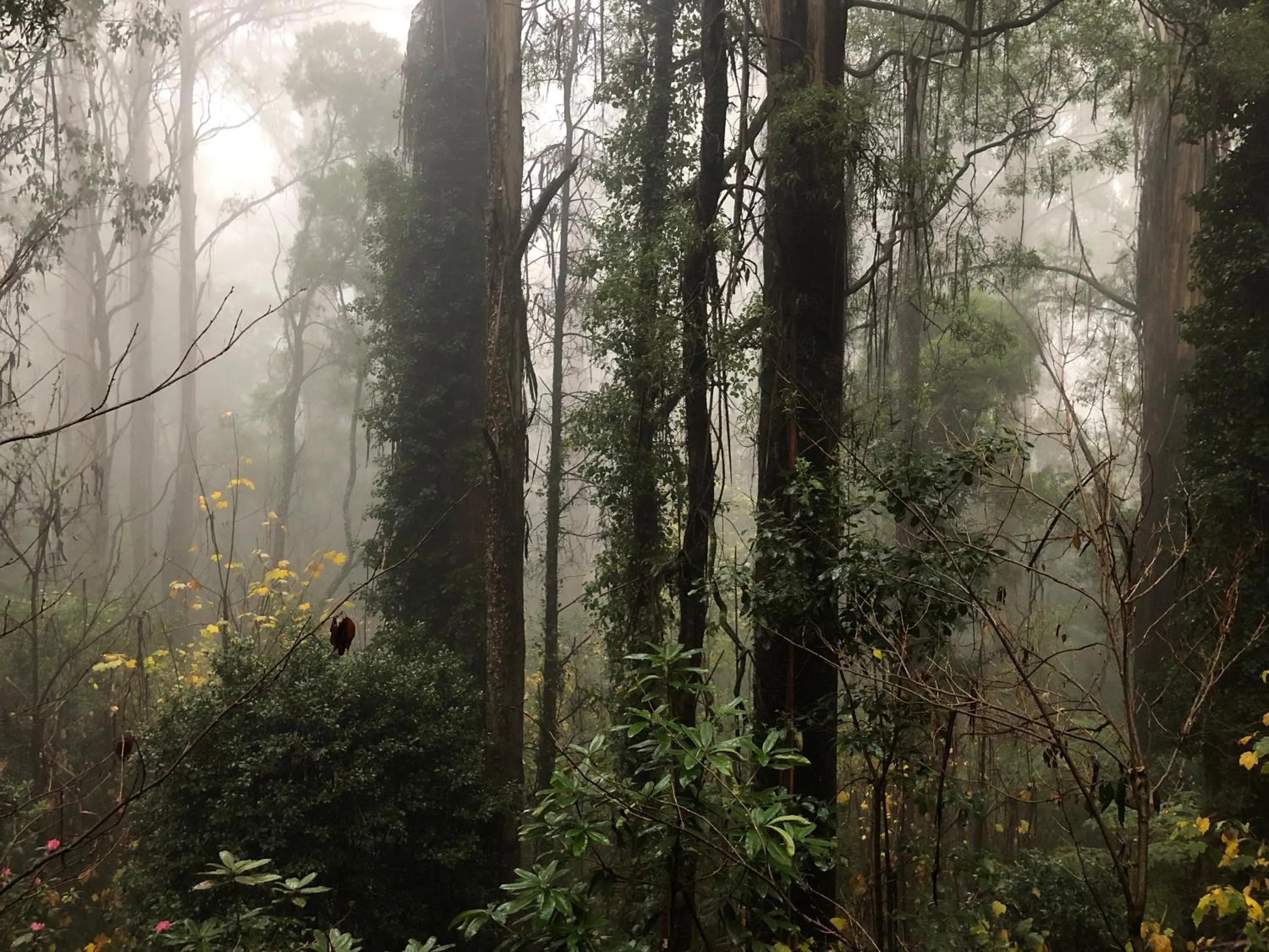 Lochiel Luxury Accommodation