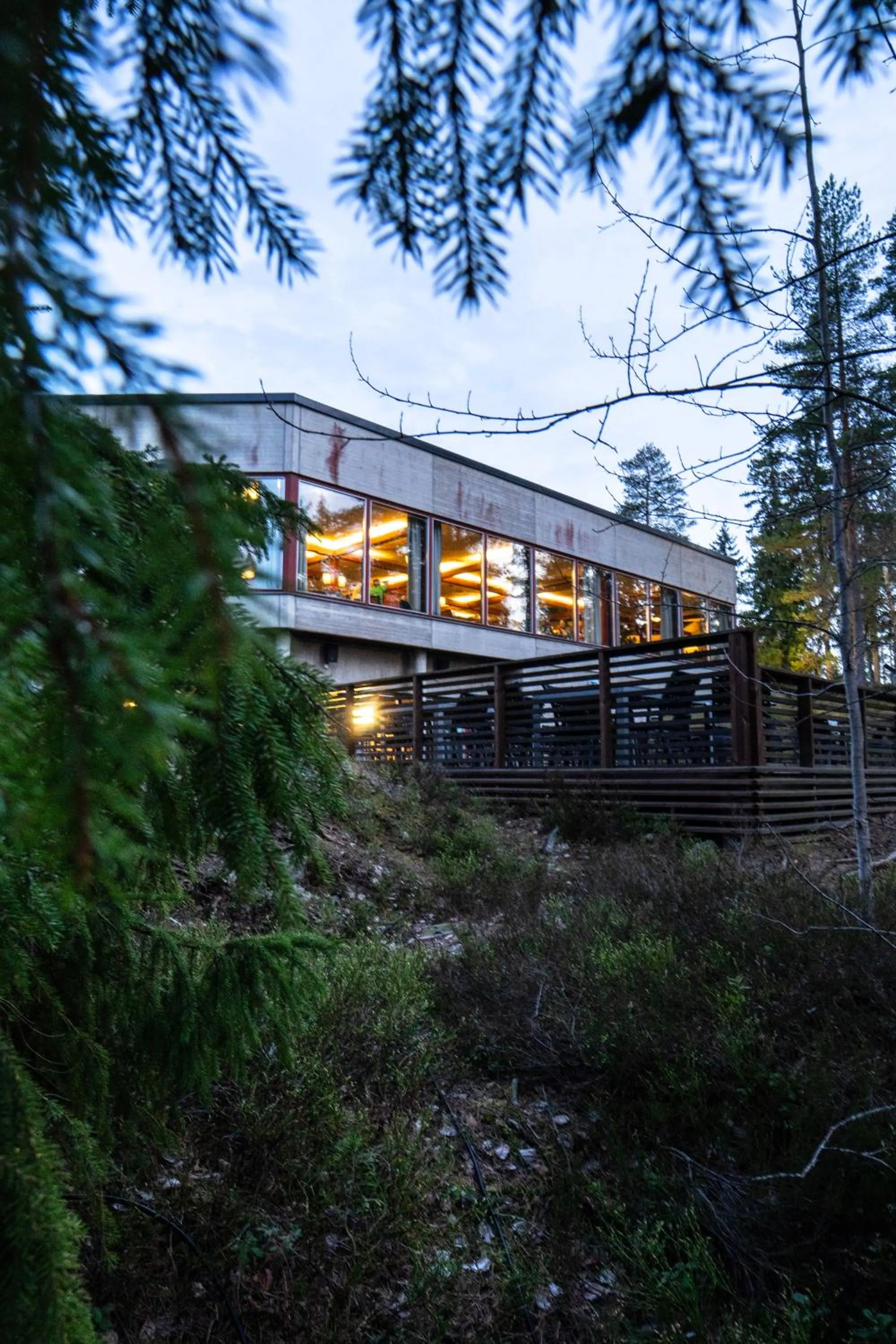 Natural landscape in Hotel Korpilampi