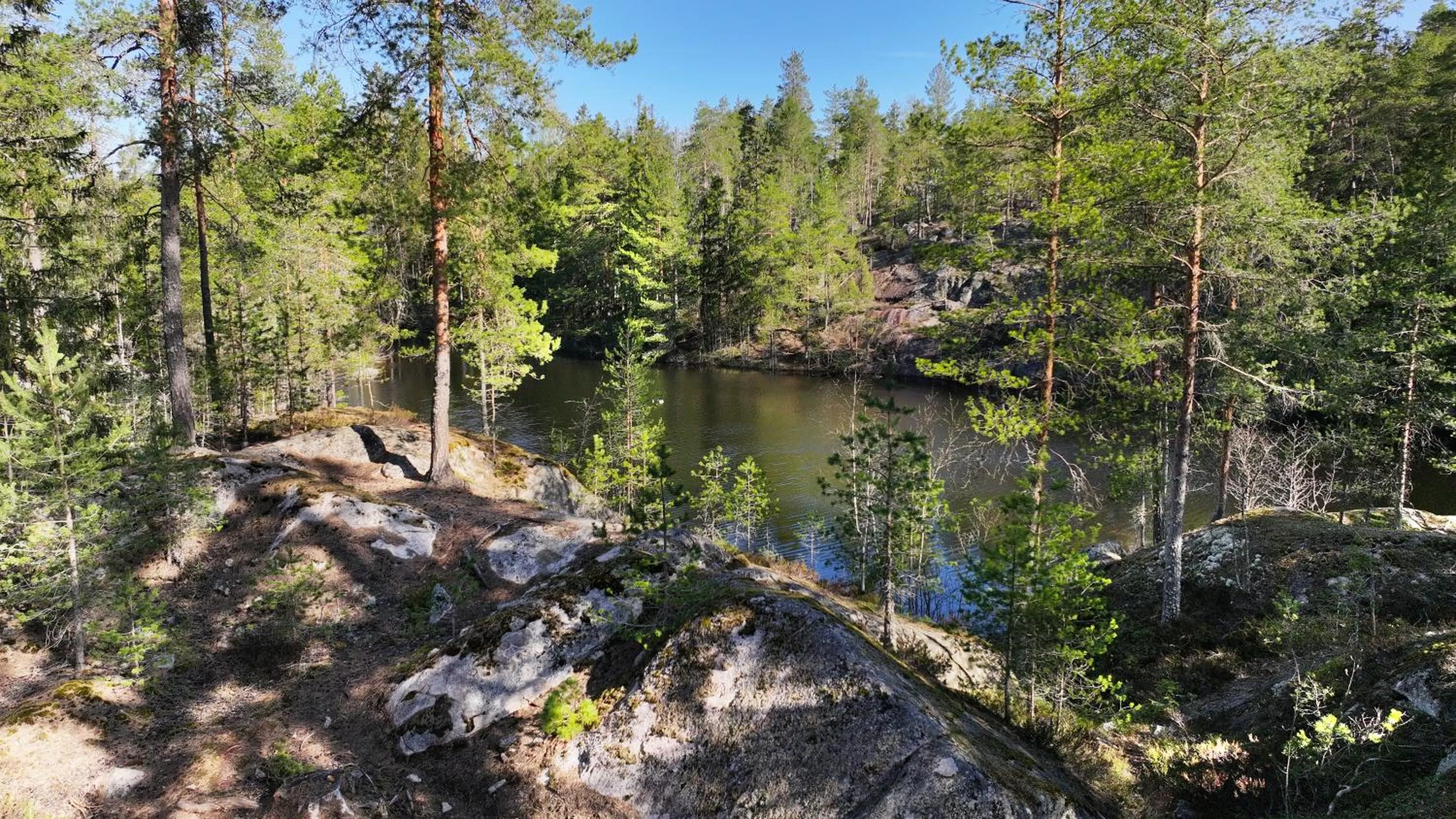 Natural landscape in Hotel Korpilampi