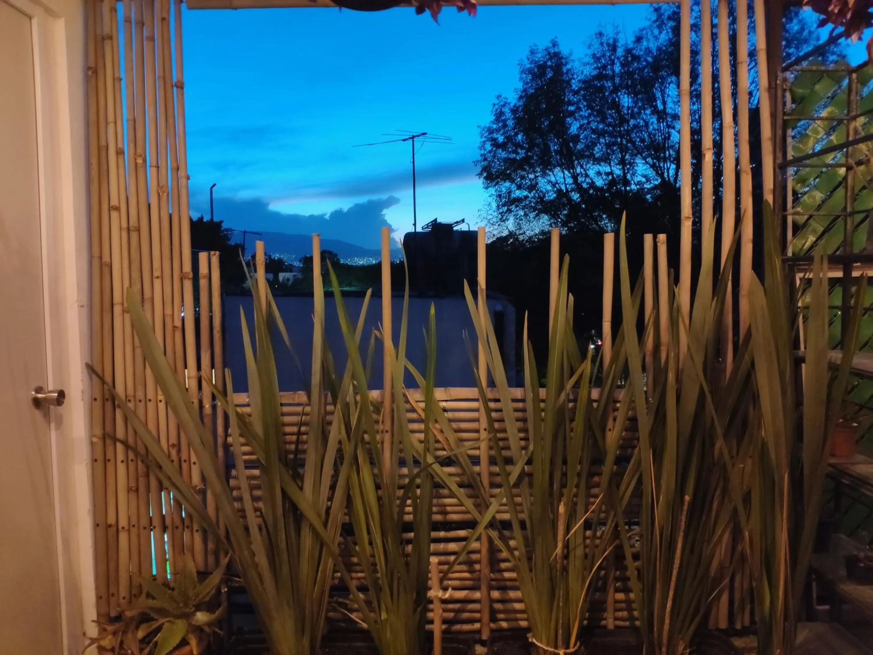 Calle Berlin Boutique