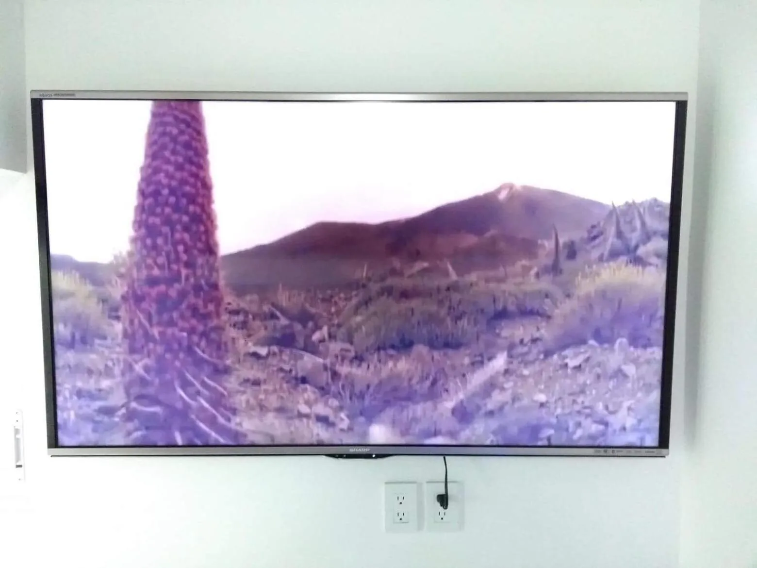 Calle Berlin Boutique