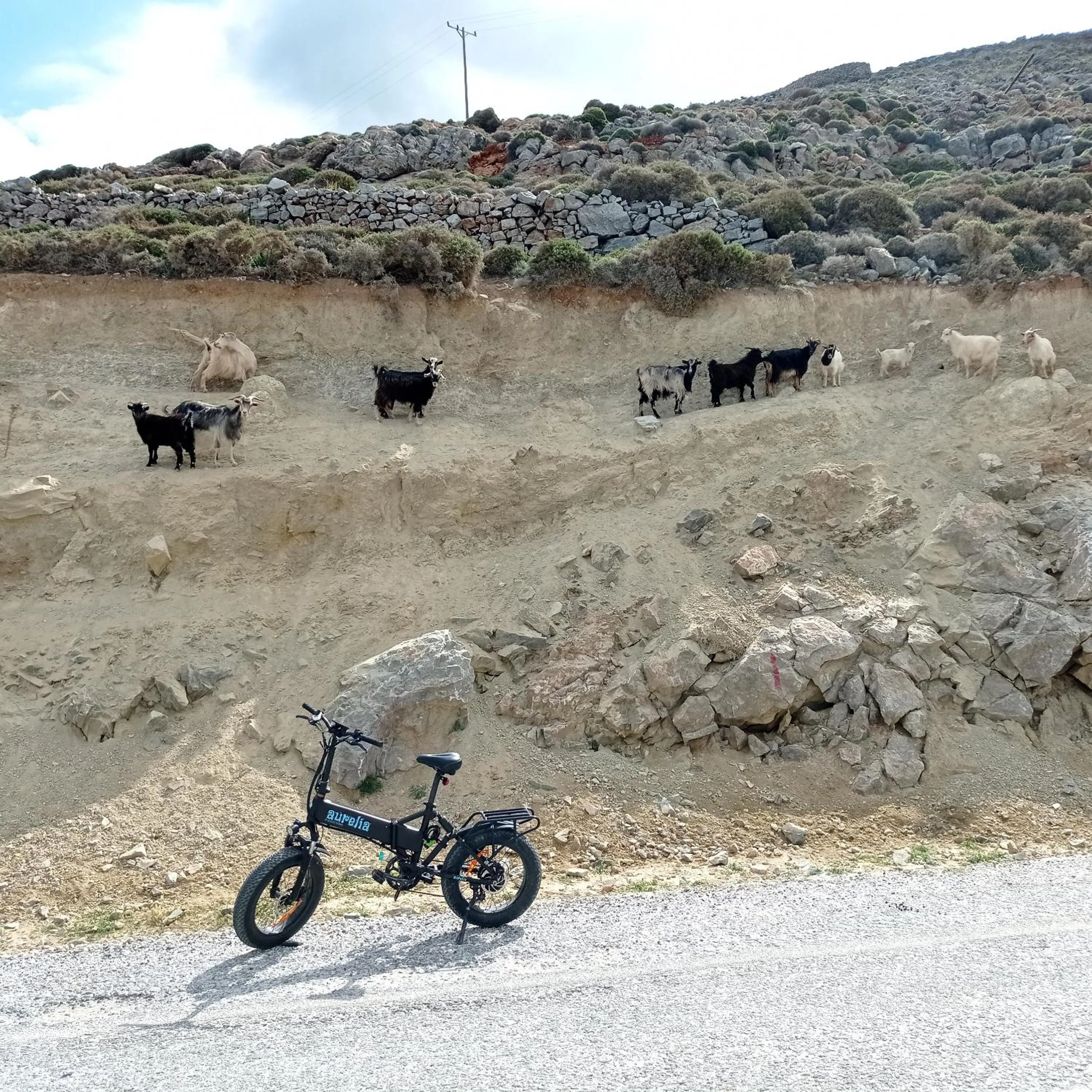 Cycling in Vigla Hotel