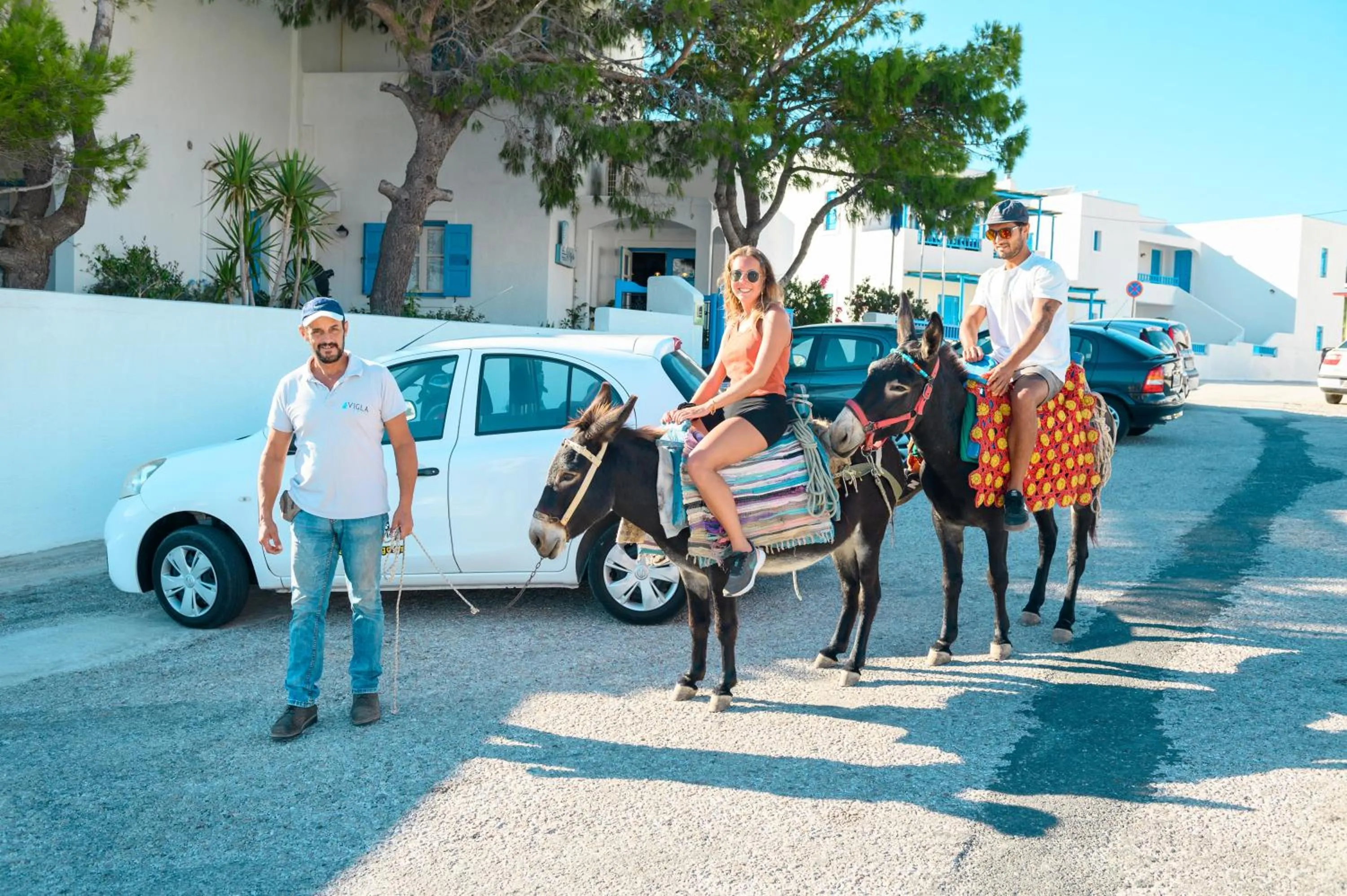 Animals in Vigla Hotel