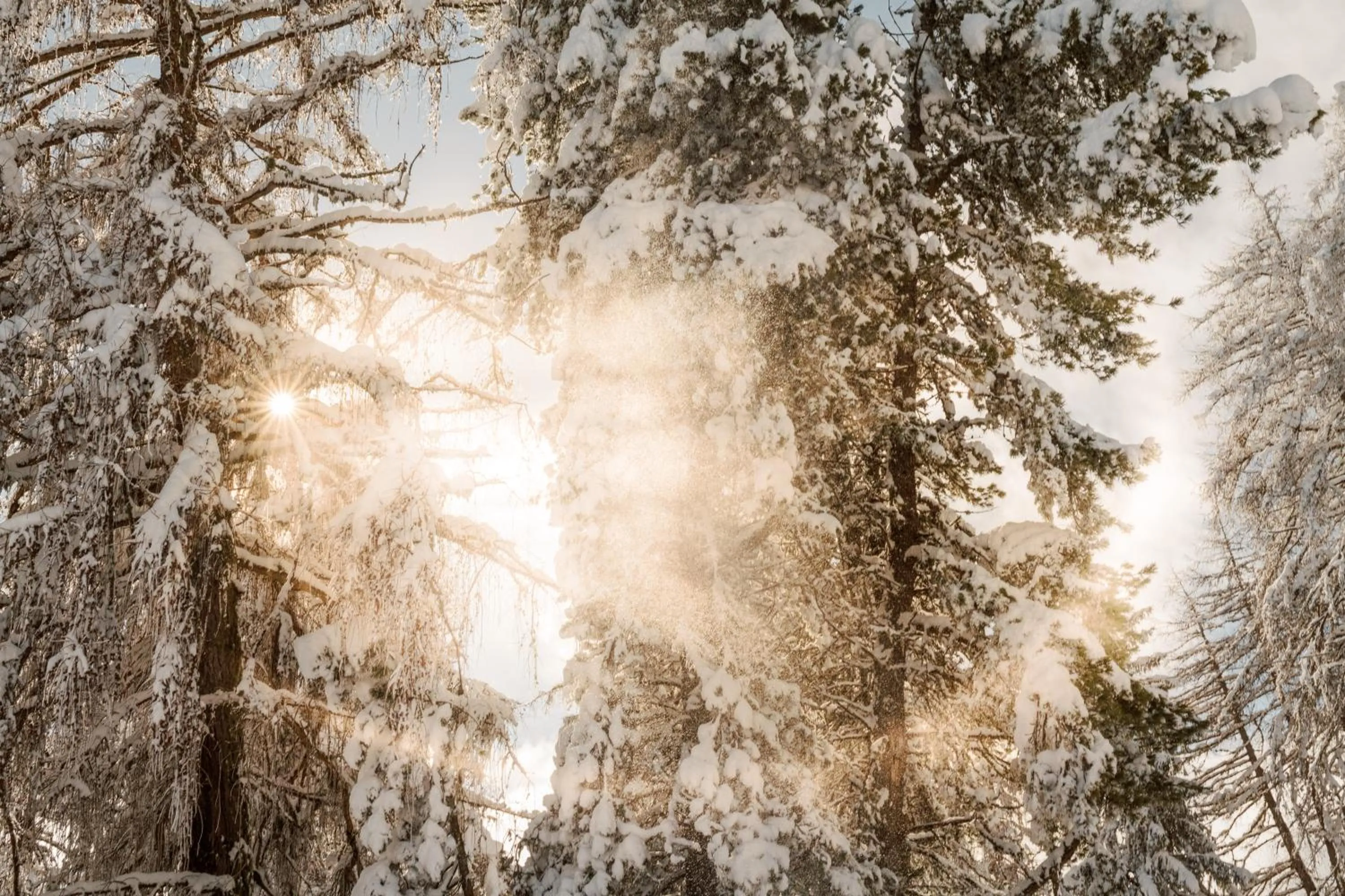 Winter in Vigilius Mountain Resort