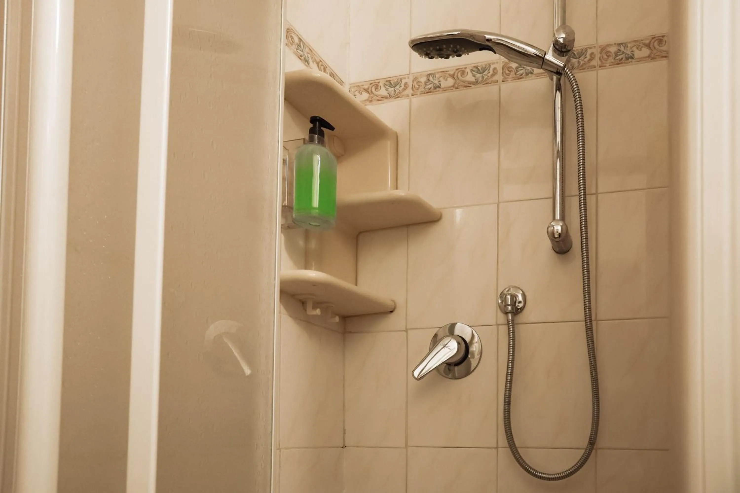 Shower in Hotel Villa Sara